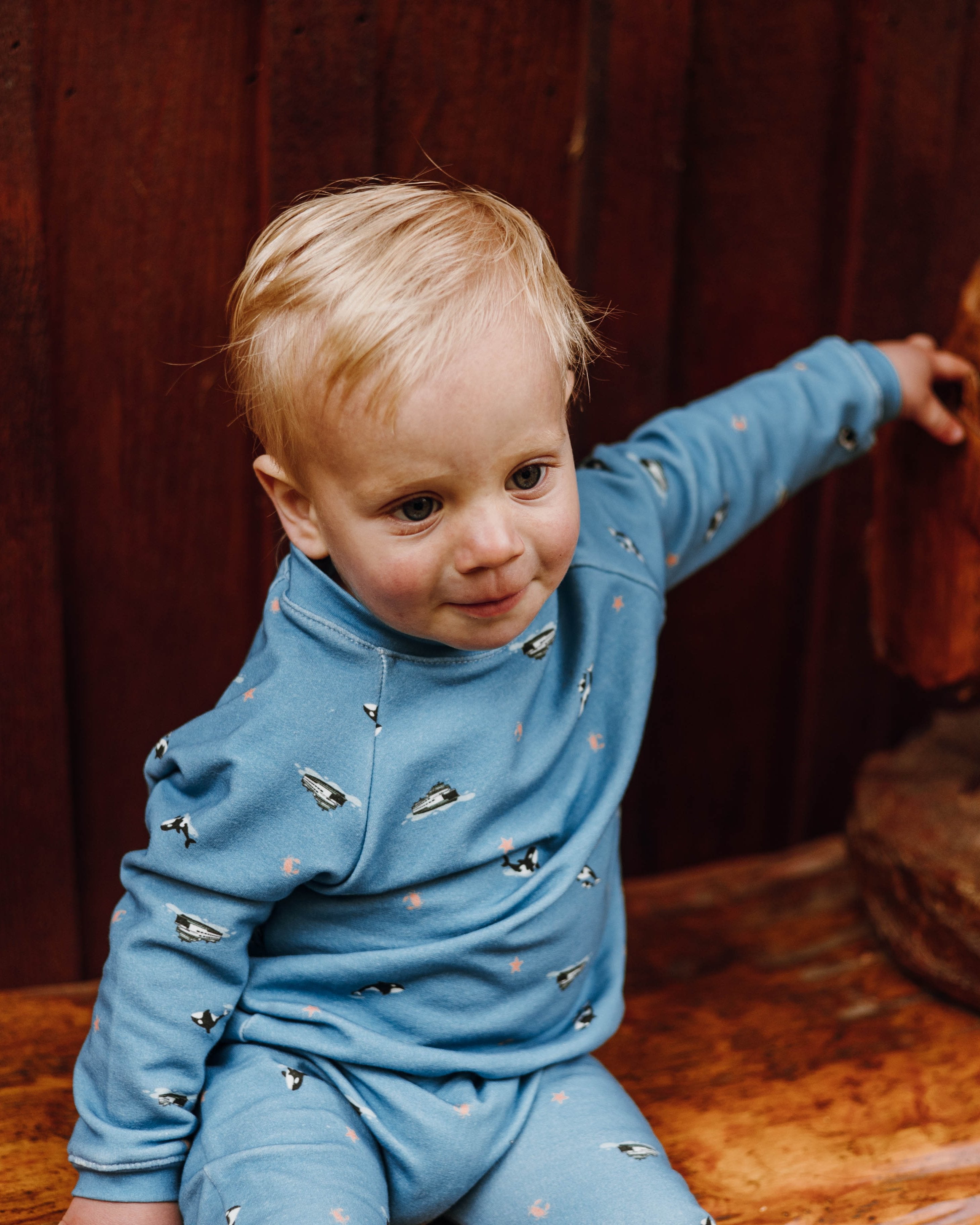 Raglan Sweatshirt - Special Edition PNW Orca + Ferries Organic Cotton