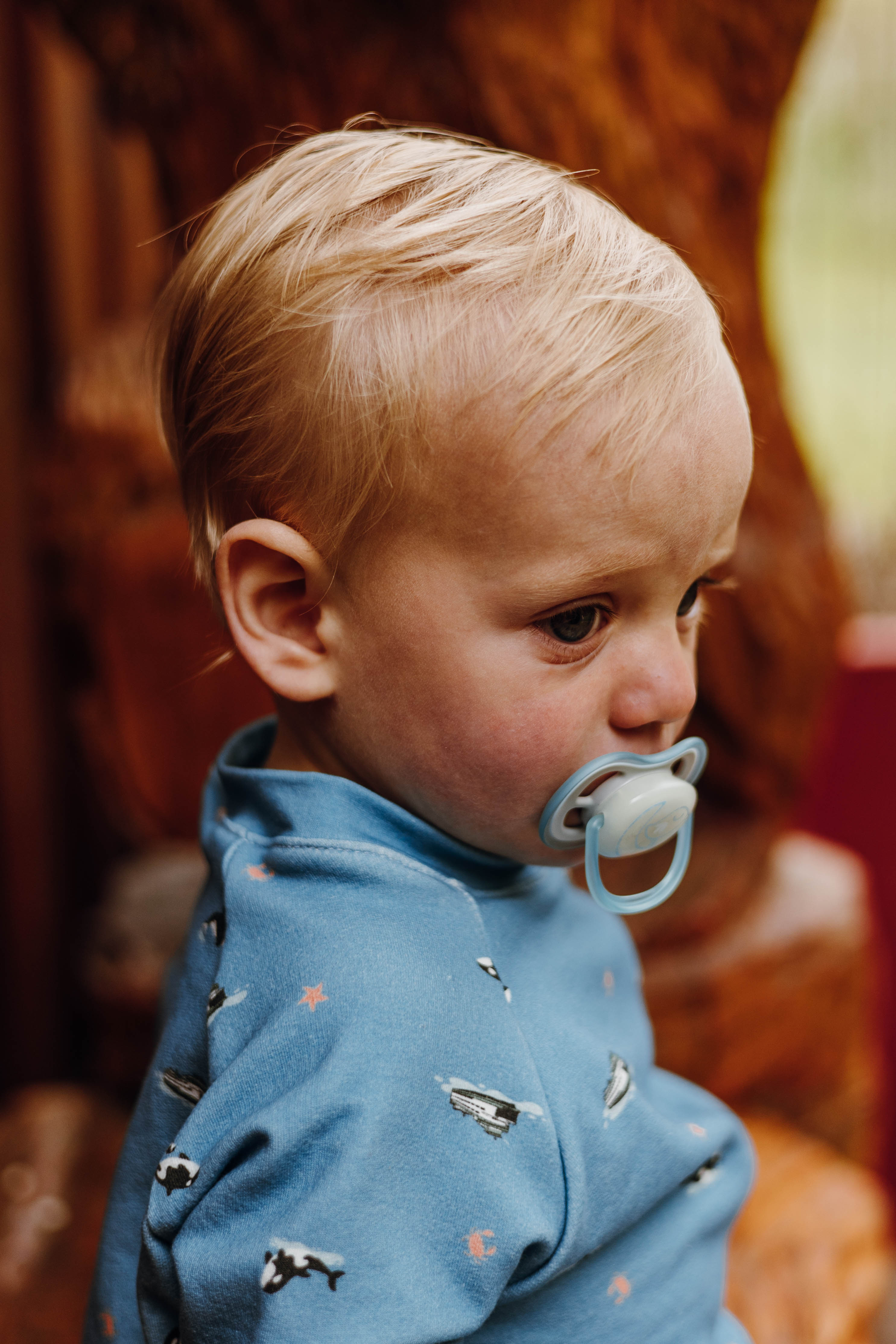 Raglan Sweatshirt - Special Edition PNW Orca + Ferries Organic Cotton