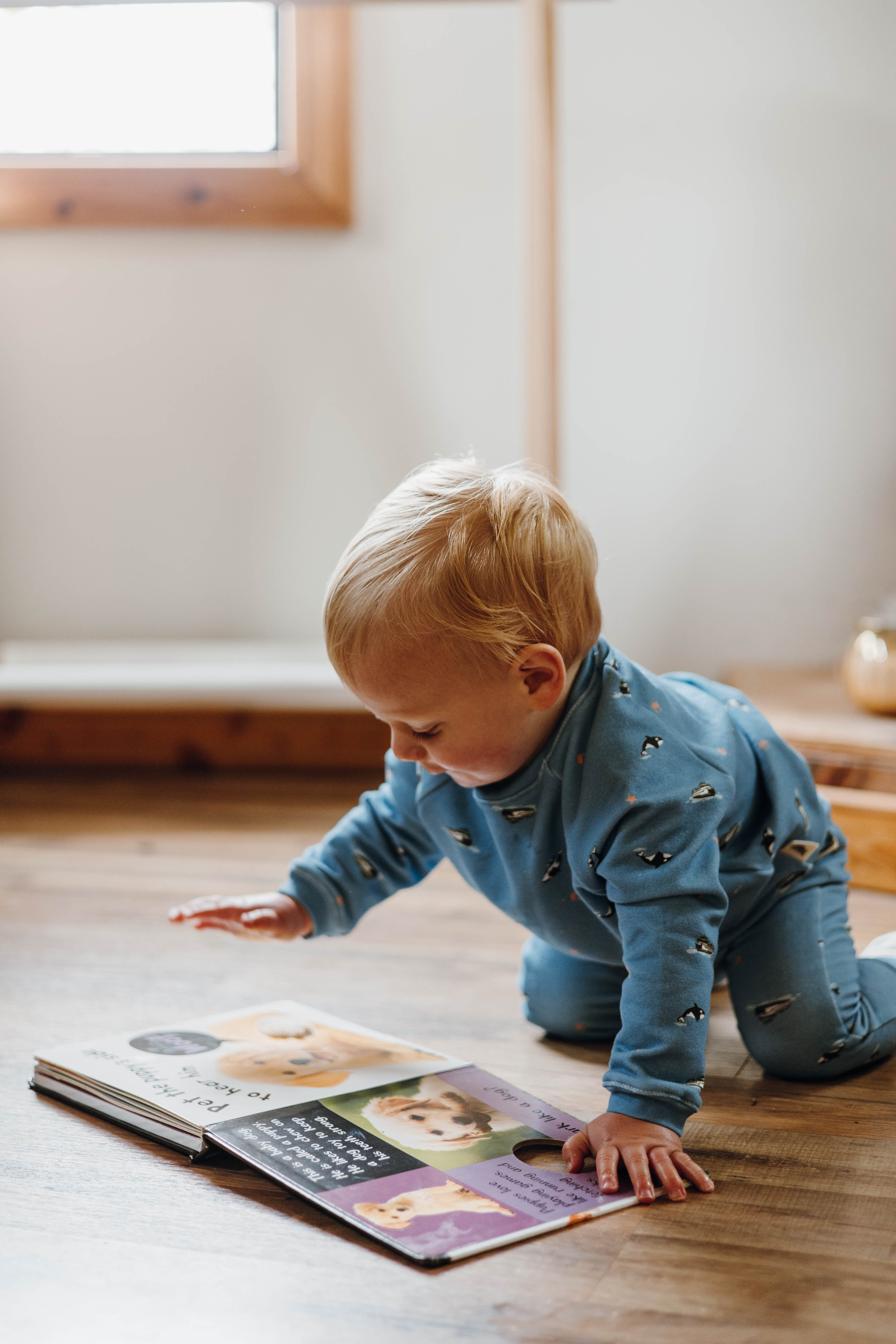 Raglan Sweatshirt - Special Edition PNW Orca + Ferries Organic Cotton
