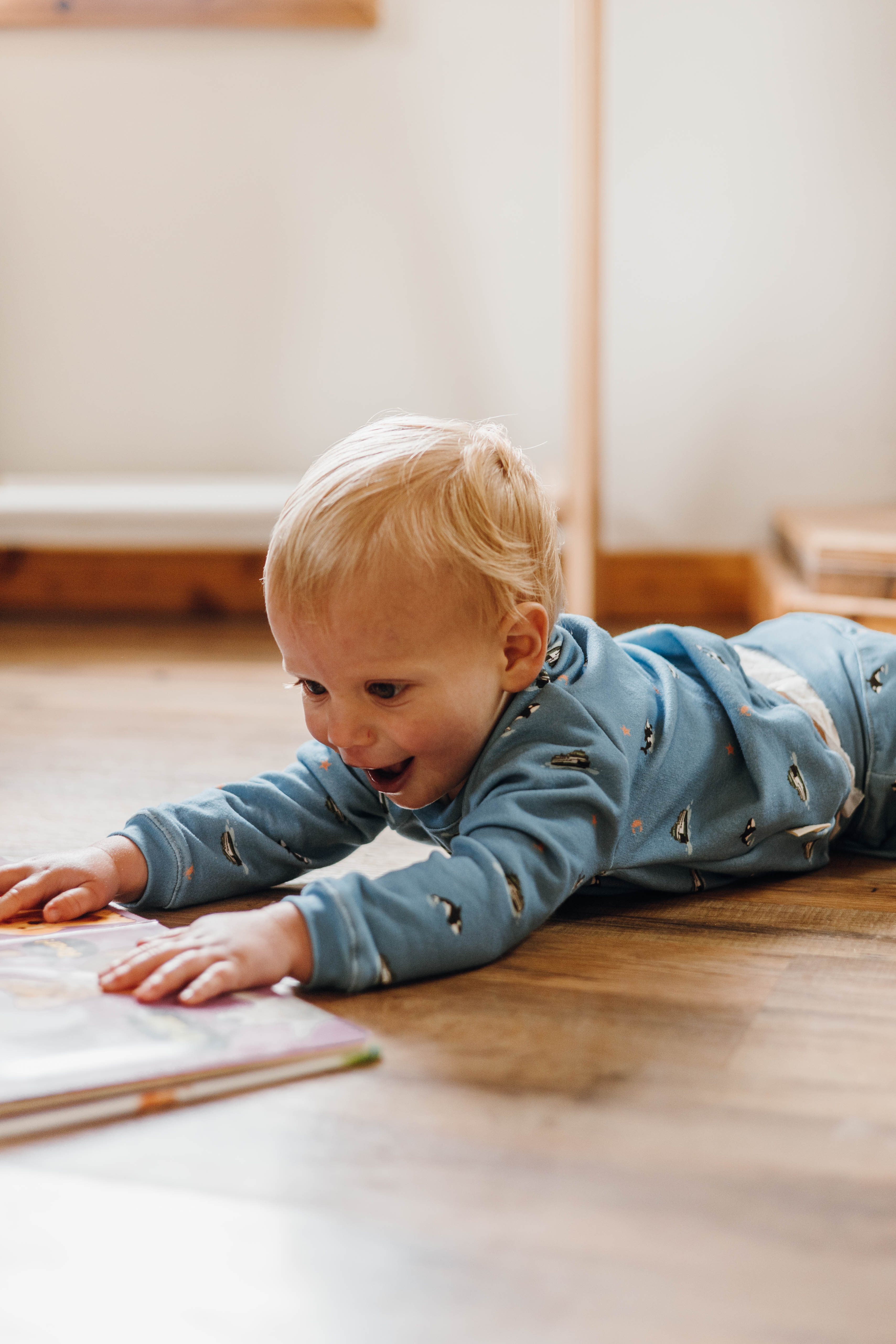 Raglan Sweatshirt - Special Edition PNW Orca + Ferries Organic Cotton