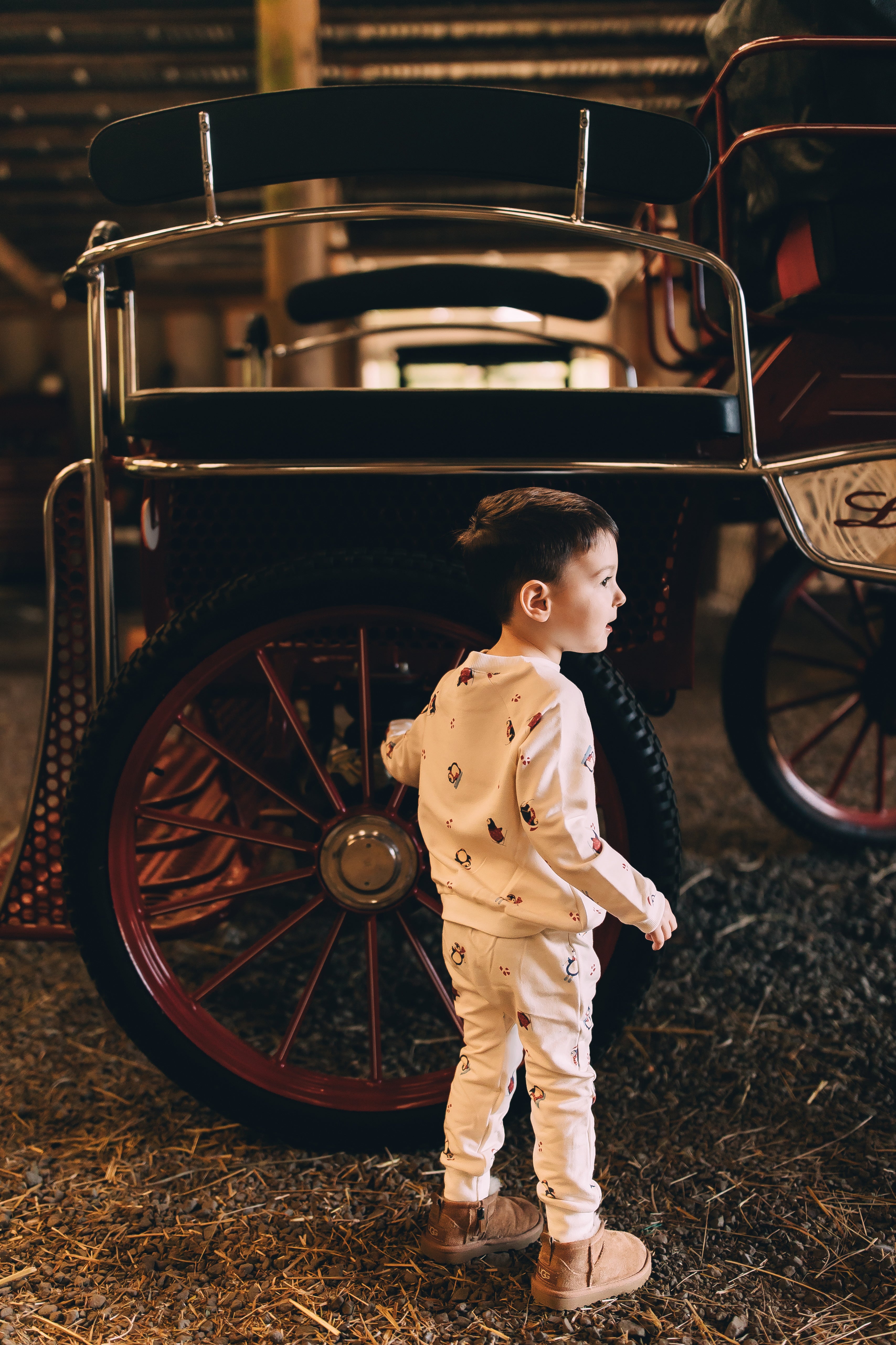 Raglan Sweatshirt - Slopes & Snowflakes Holiday Organic Cotton