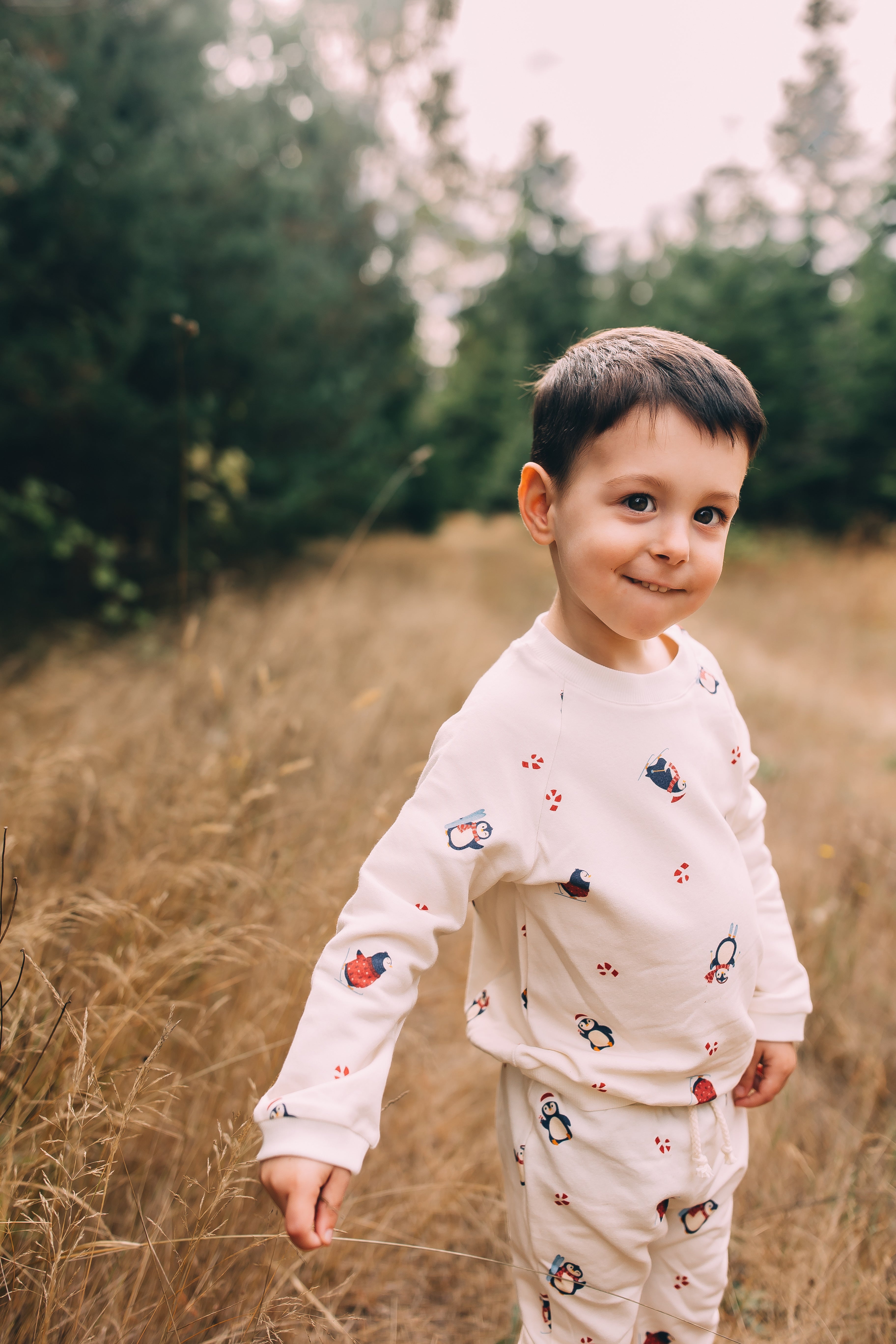 Raglan Sweatshirt - Slopes & Snowflakes Holiday Organic Cotton