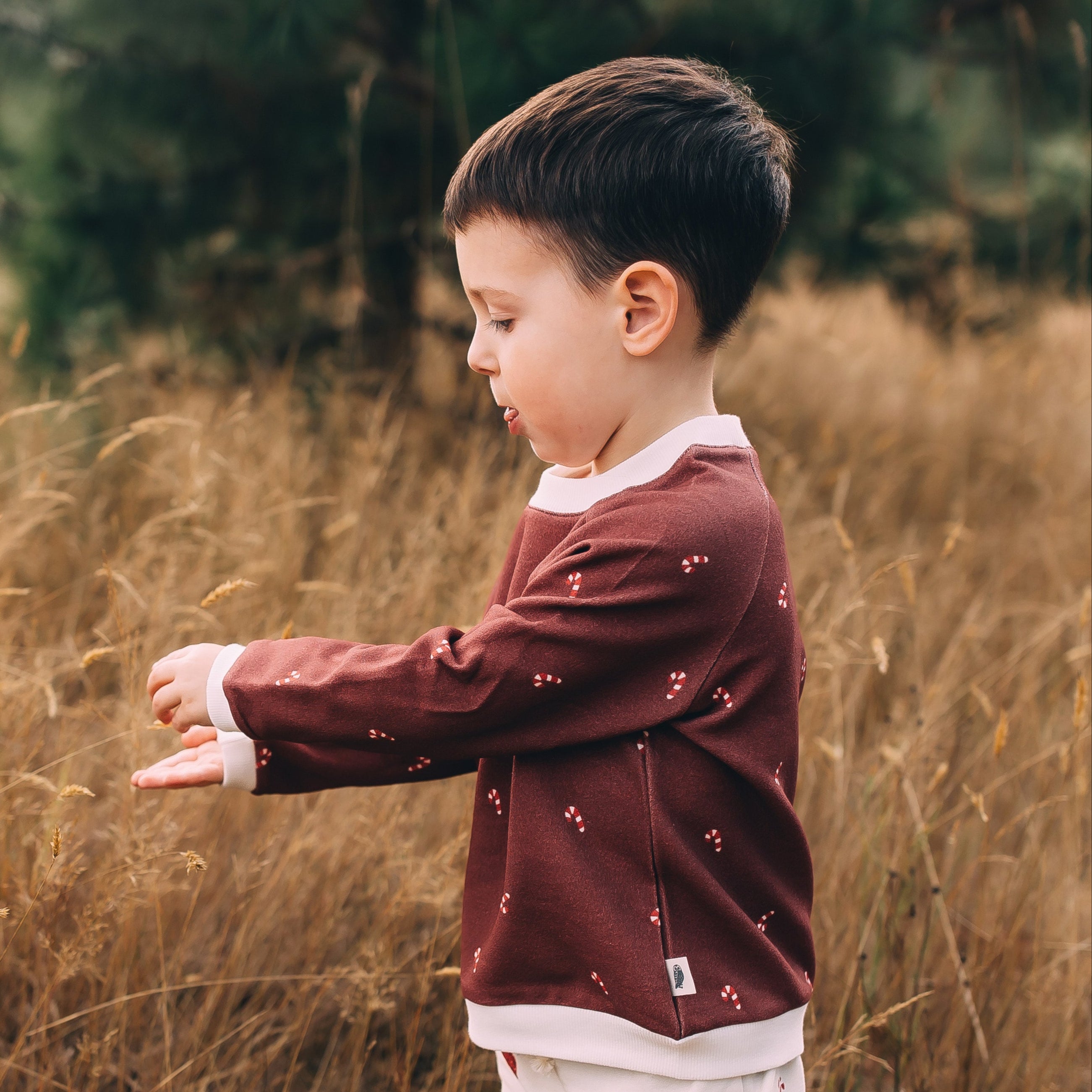Jogger Pants - Holiday Slopes & Snowflakes Organic Cotton