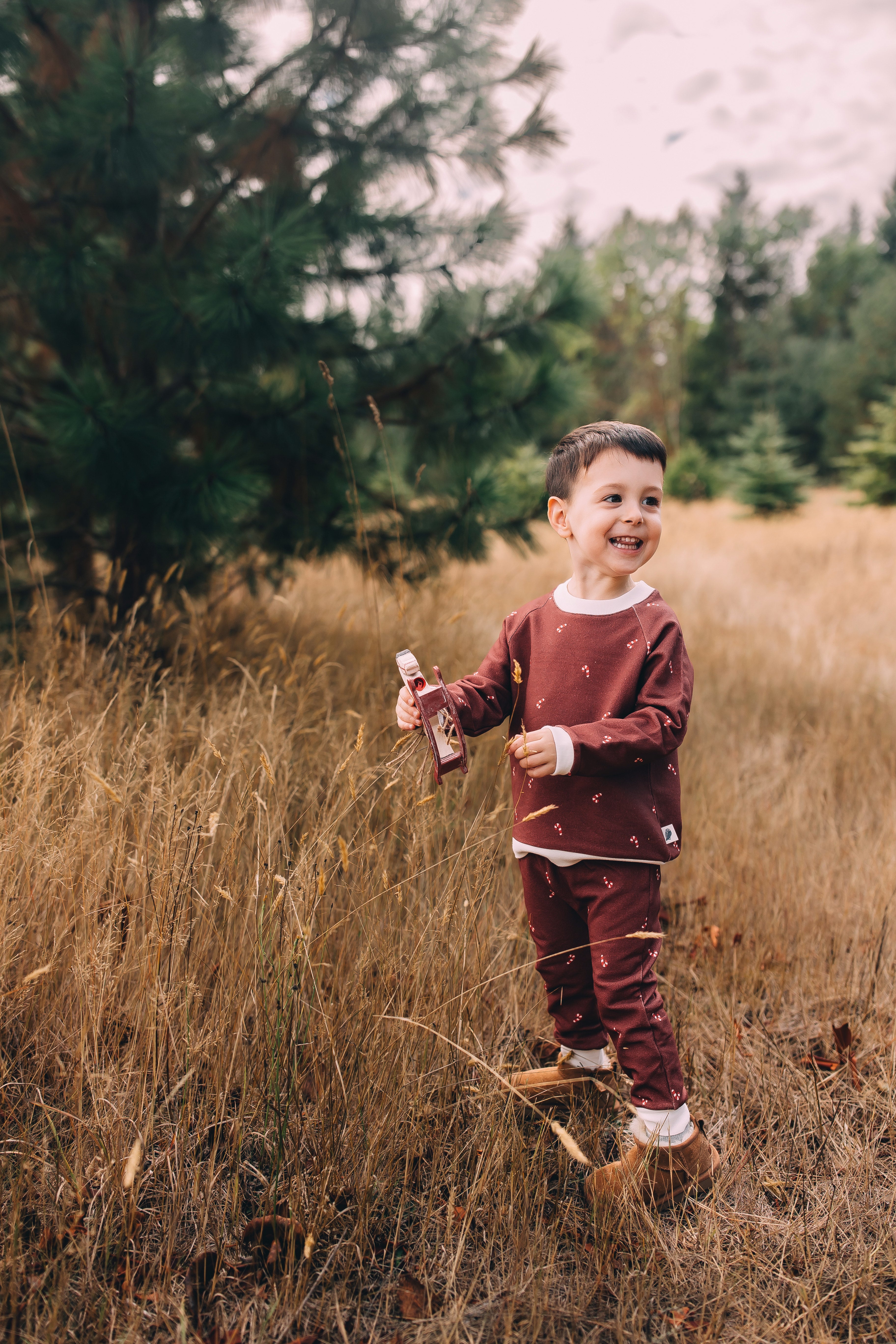 Raglan Sweatshirt - Candy Cane Holiday Organic Cotton