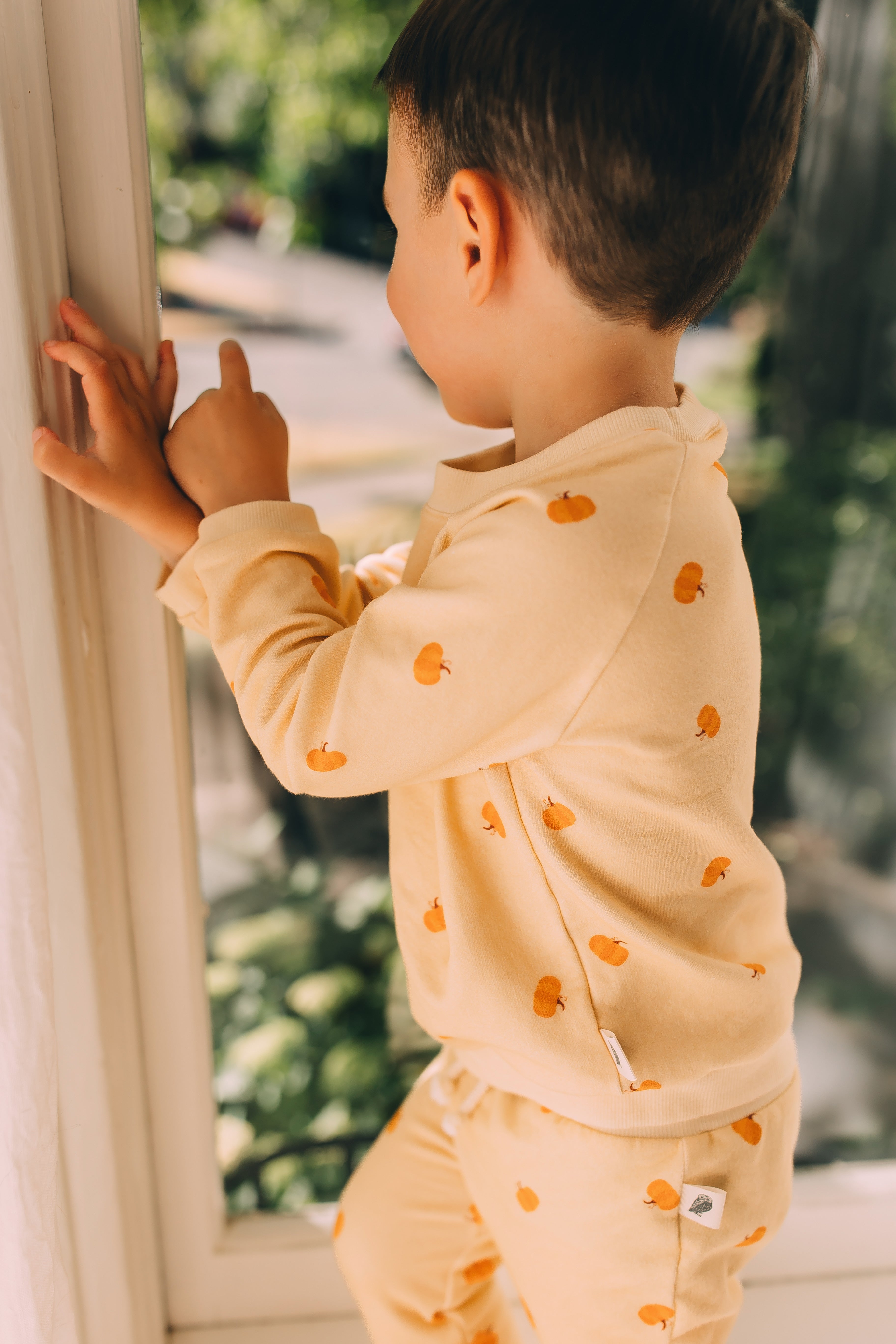 Raglan Sweatshirt - Pumpkin Patch Organic Cotton