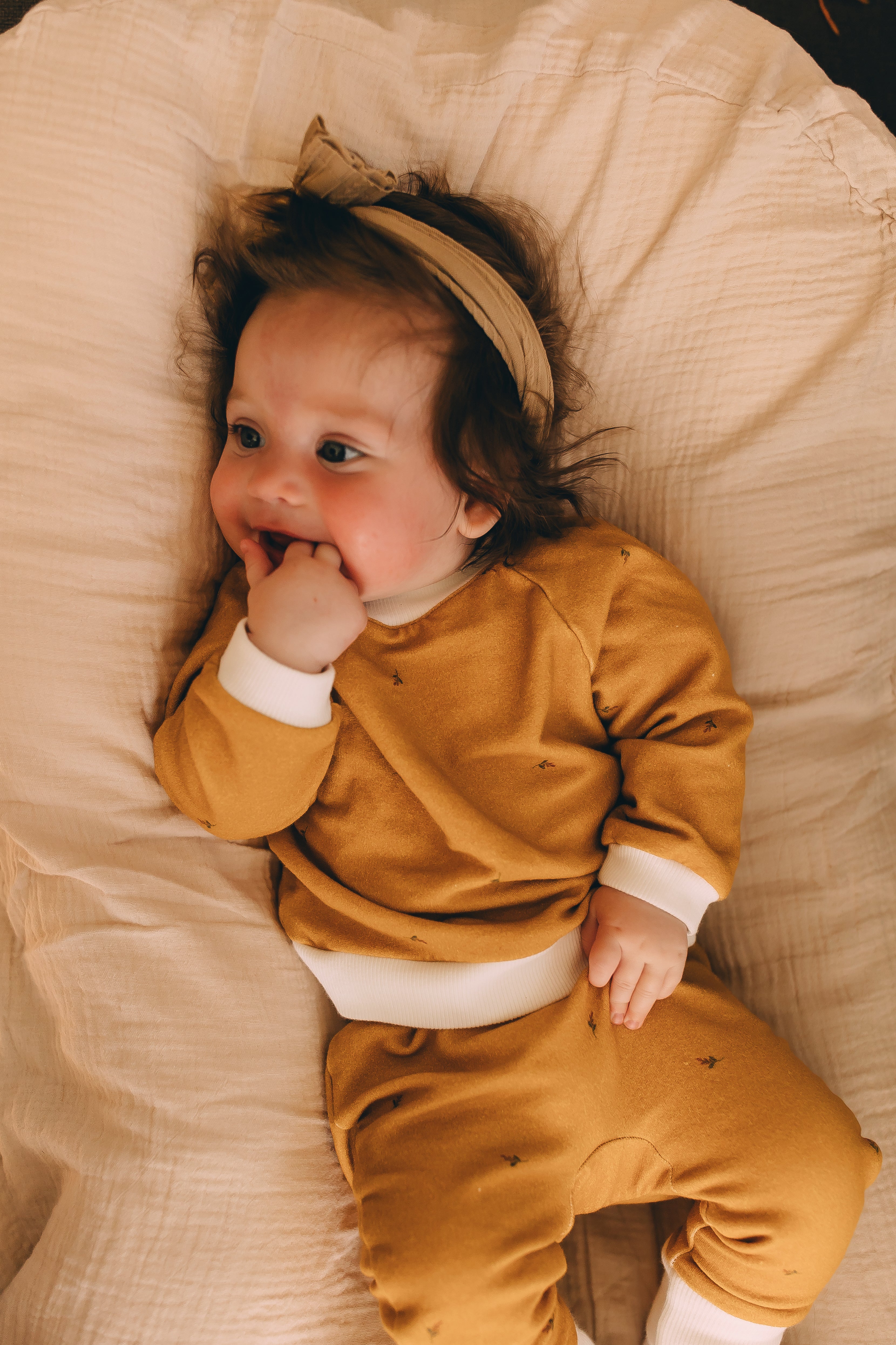 Raglan Sweatshirt - Golden Harvest Organic Cotton