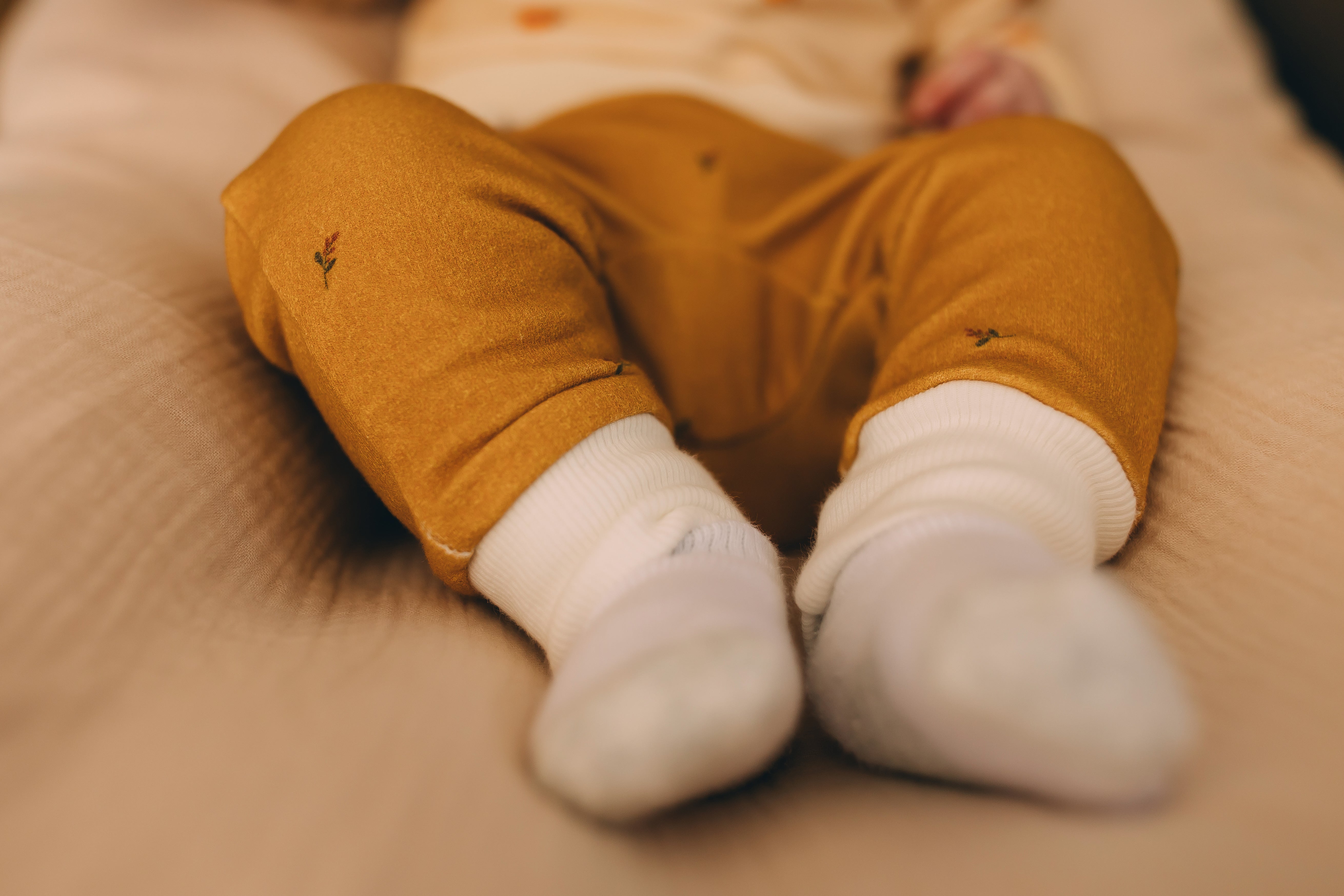 Jogger Pants - Golden Harvest Organic Cotton