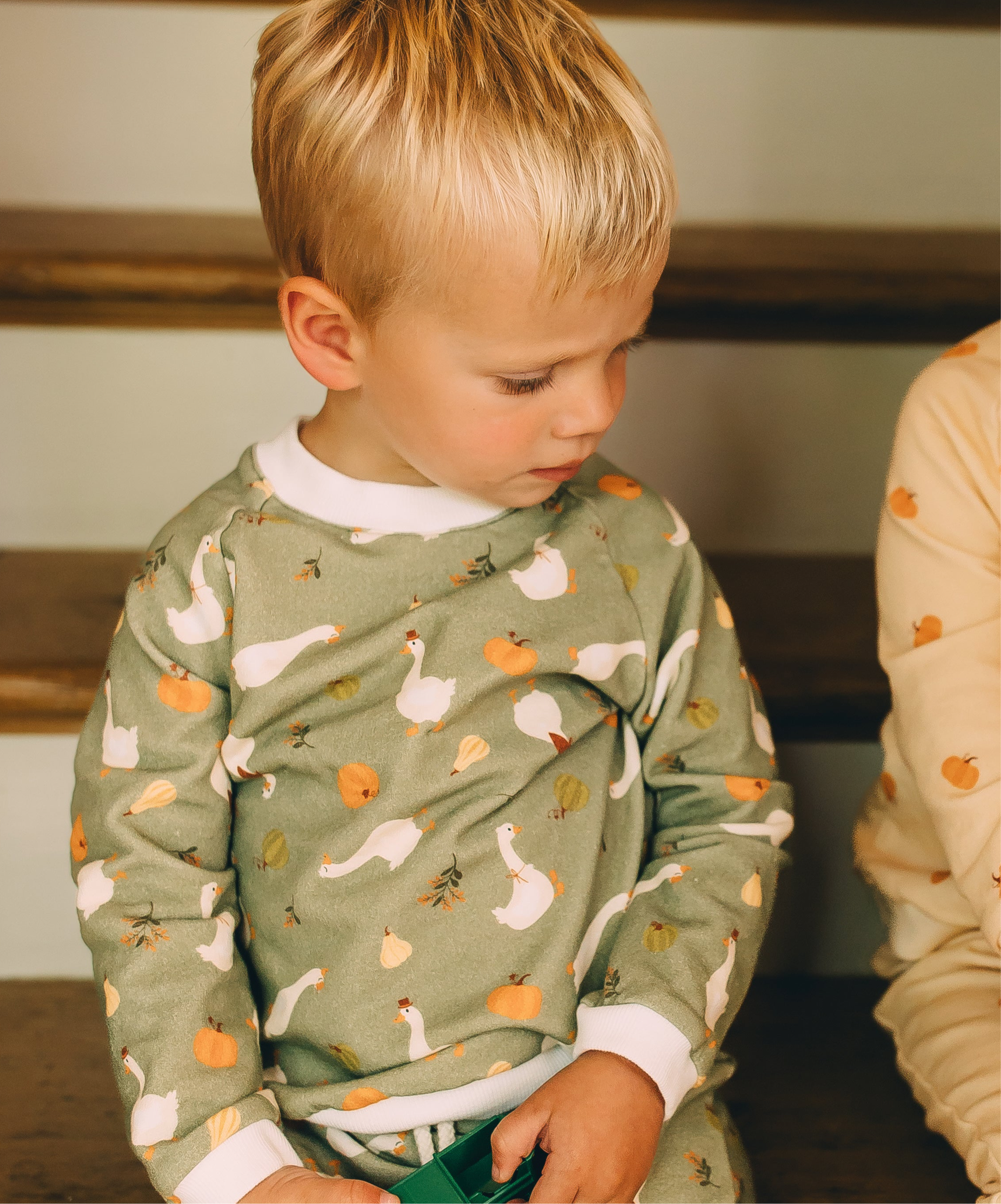 Raglan Sweatshirt - Farm Goose Adventures Organic Cotton