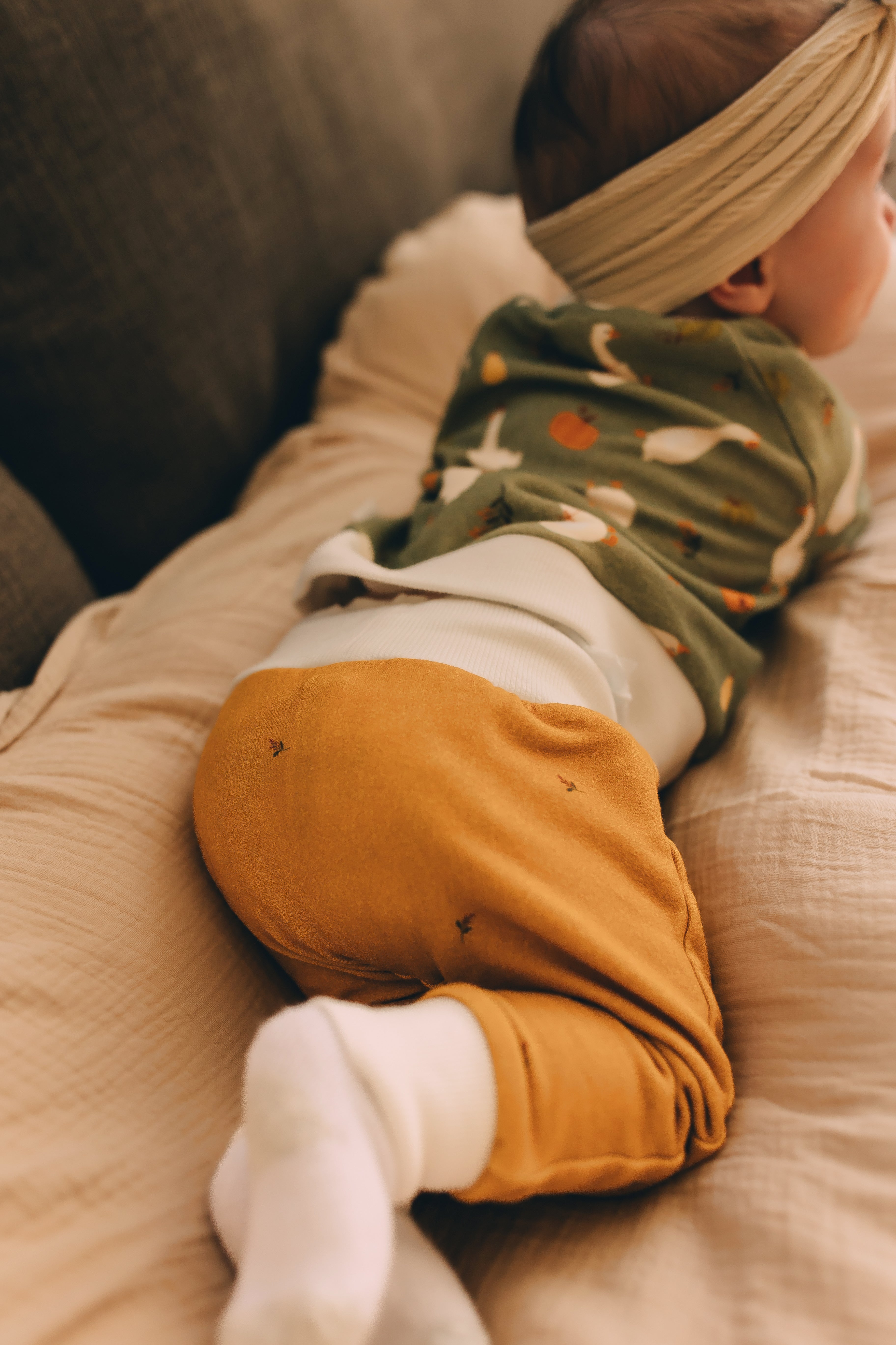 Jogger Pants - Golden Harvest Organic Cotton