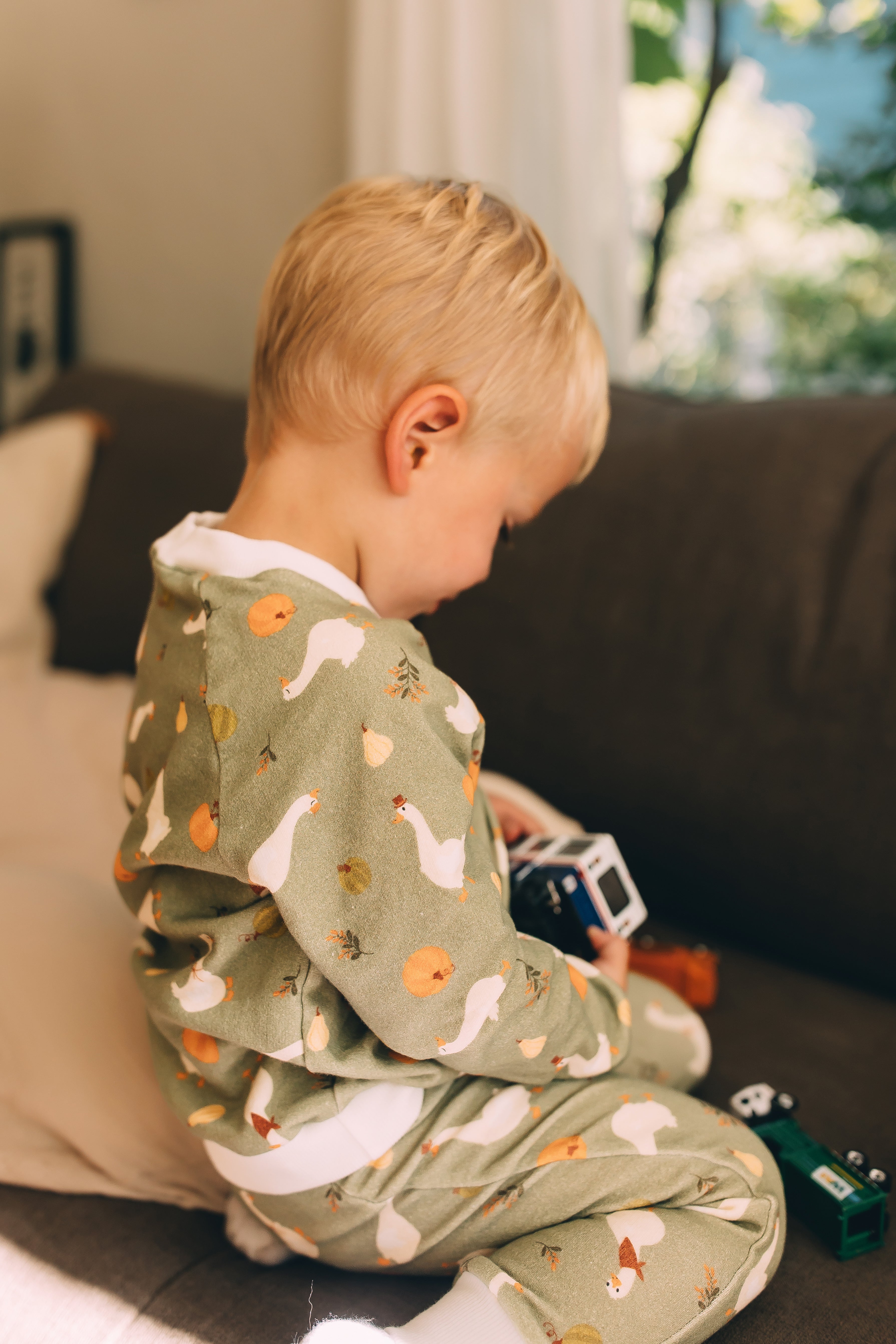 Raglan Sweatshirt - Farm Goose Adventures Organic Cotton