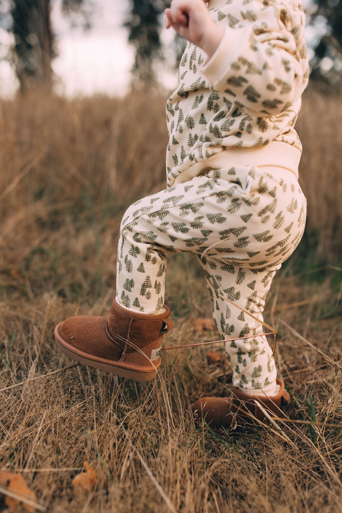 Jogger Pants - Into the Woods Organic Cotton