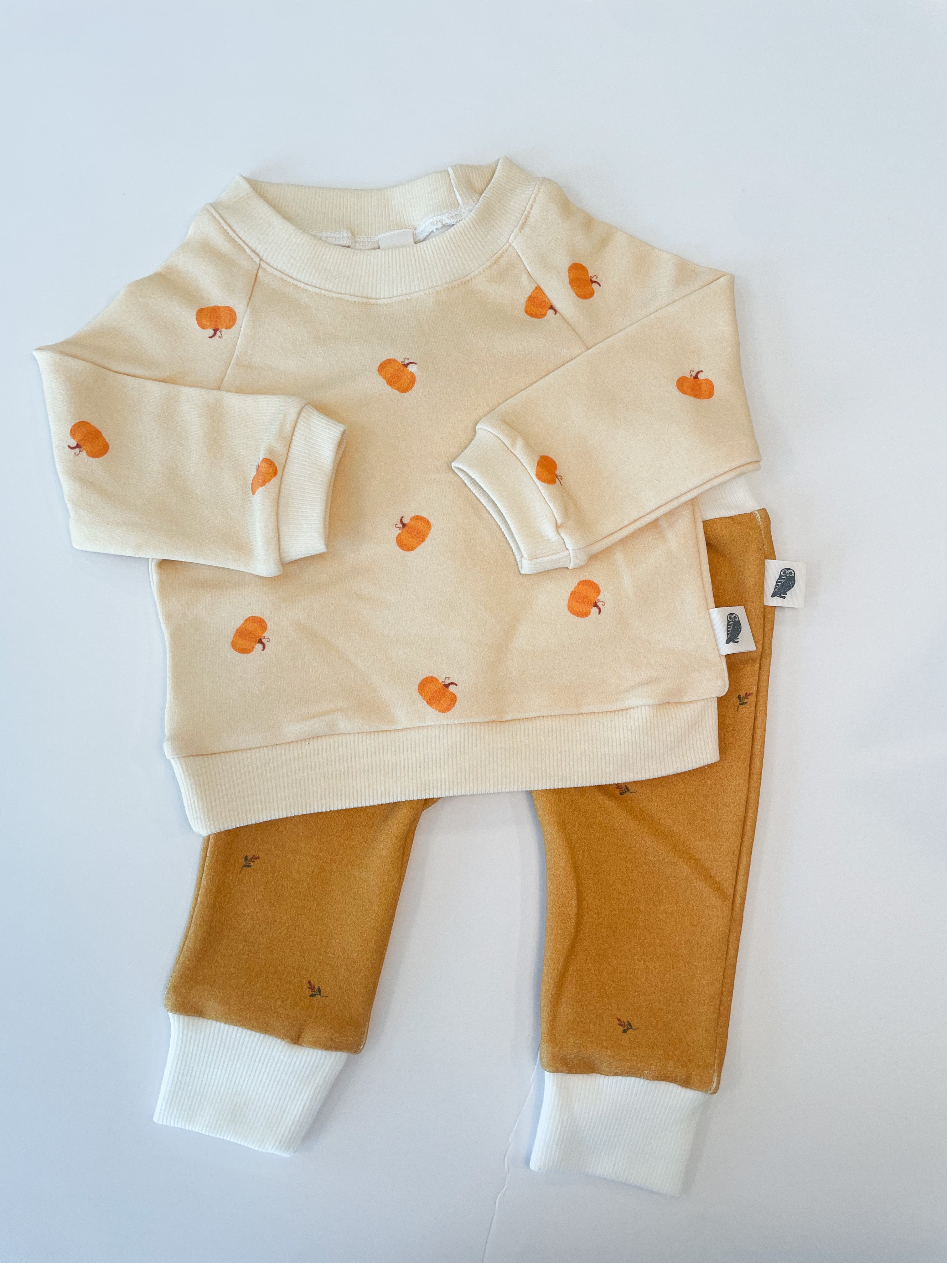 Raglan Sweatshirt - Pumpkin Patch Organic Cotton