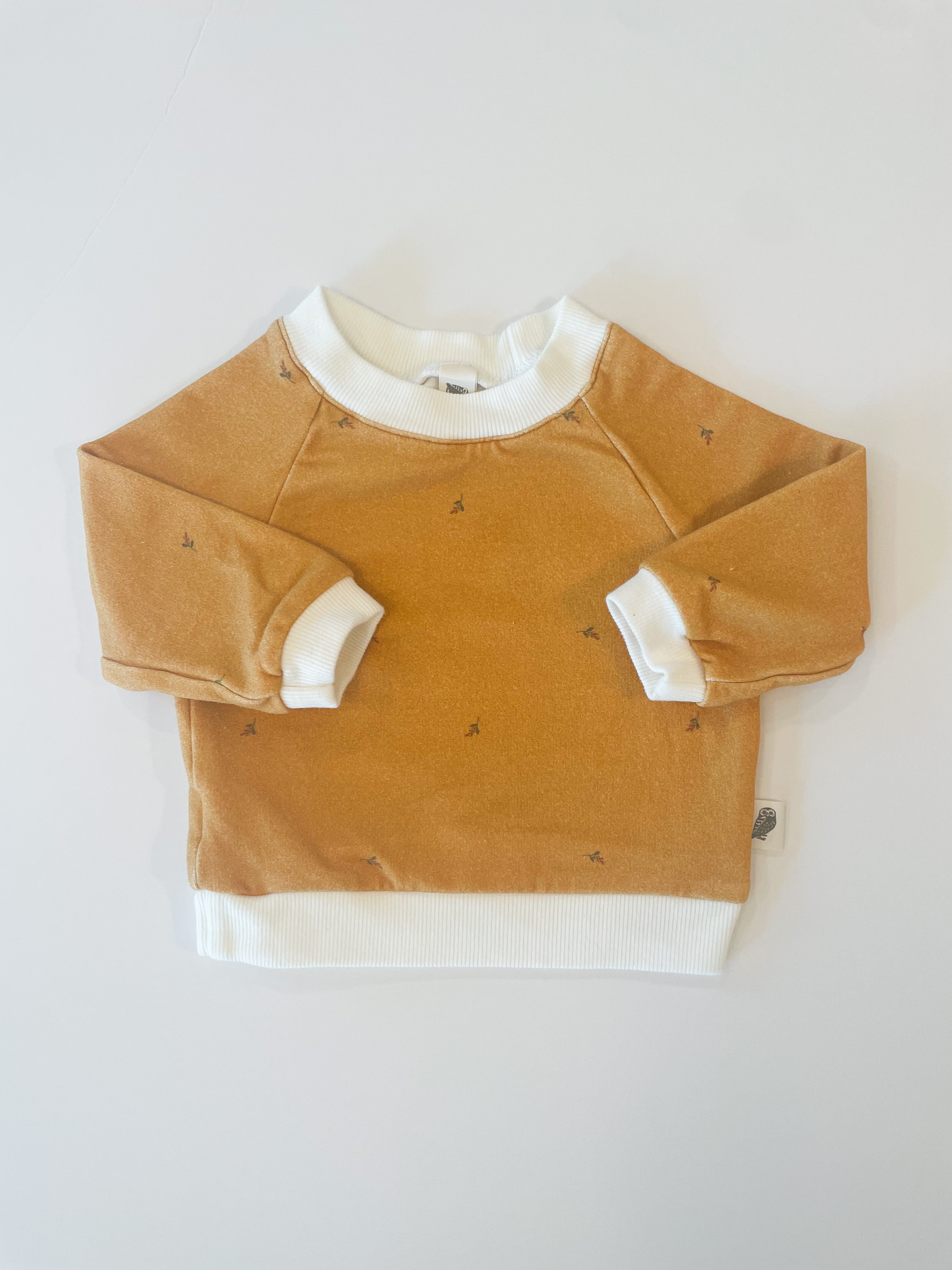 Raglan Sweatshirt - Golden Harvest Organic Cotton