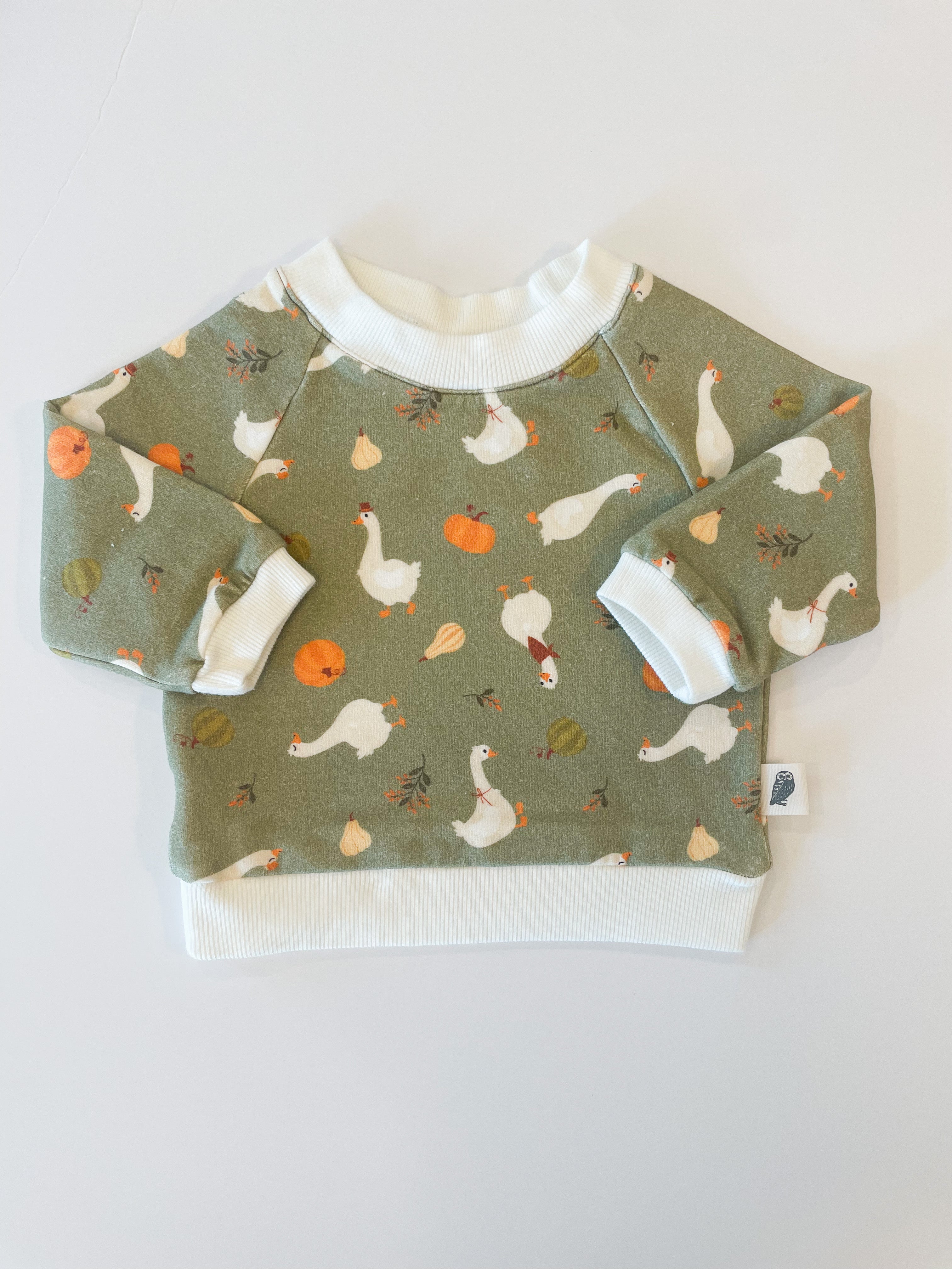 Raglan Sweatshirt - Farm Goose Adventures Organic Cotton