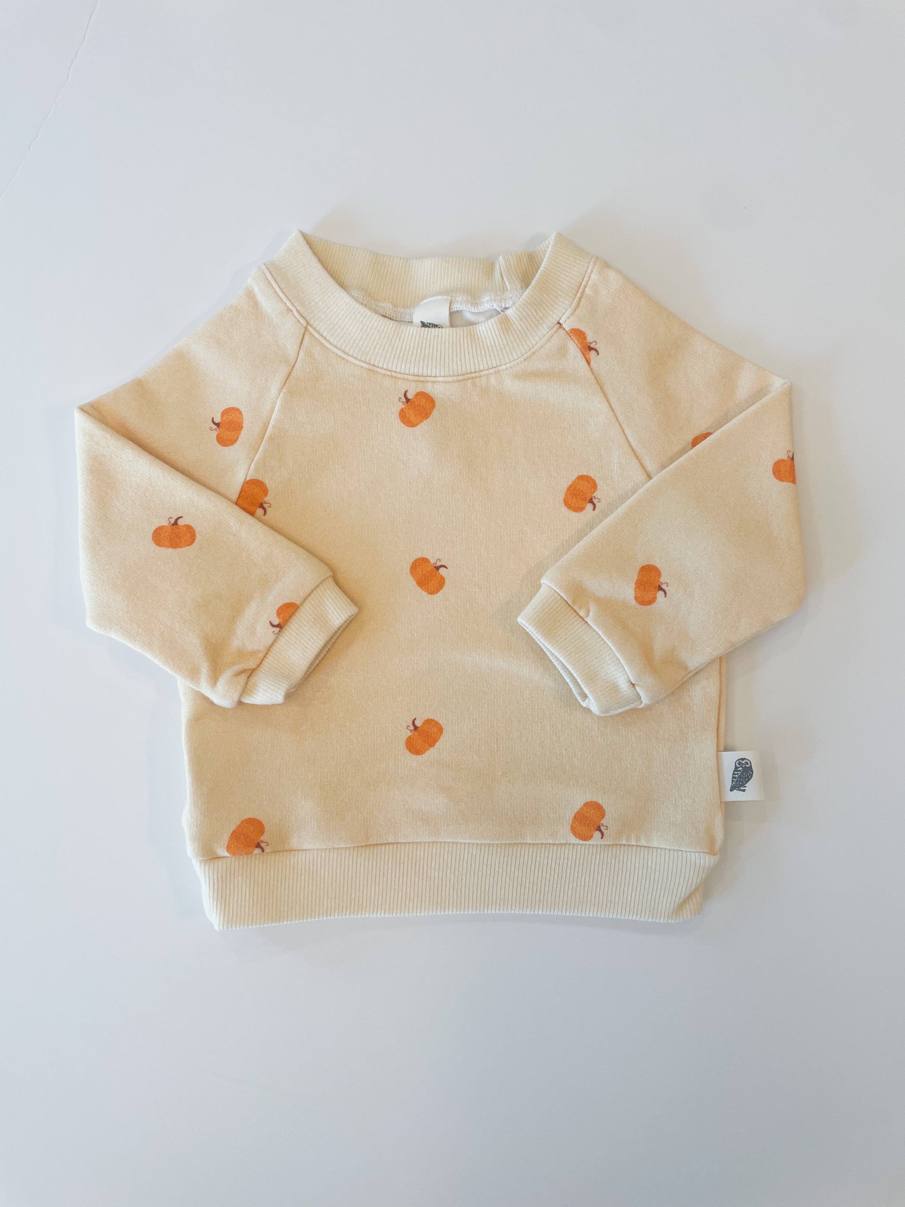 Raglan Sweatshirt - Pumpkin Patch Organic Cotton