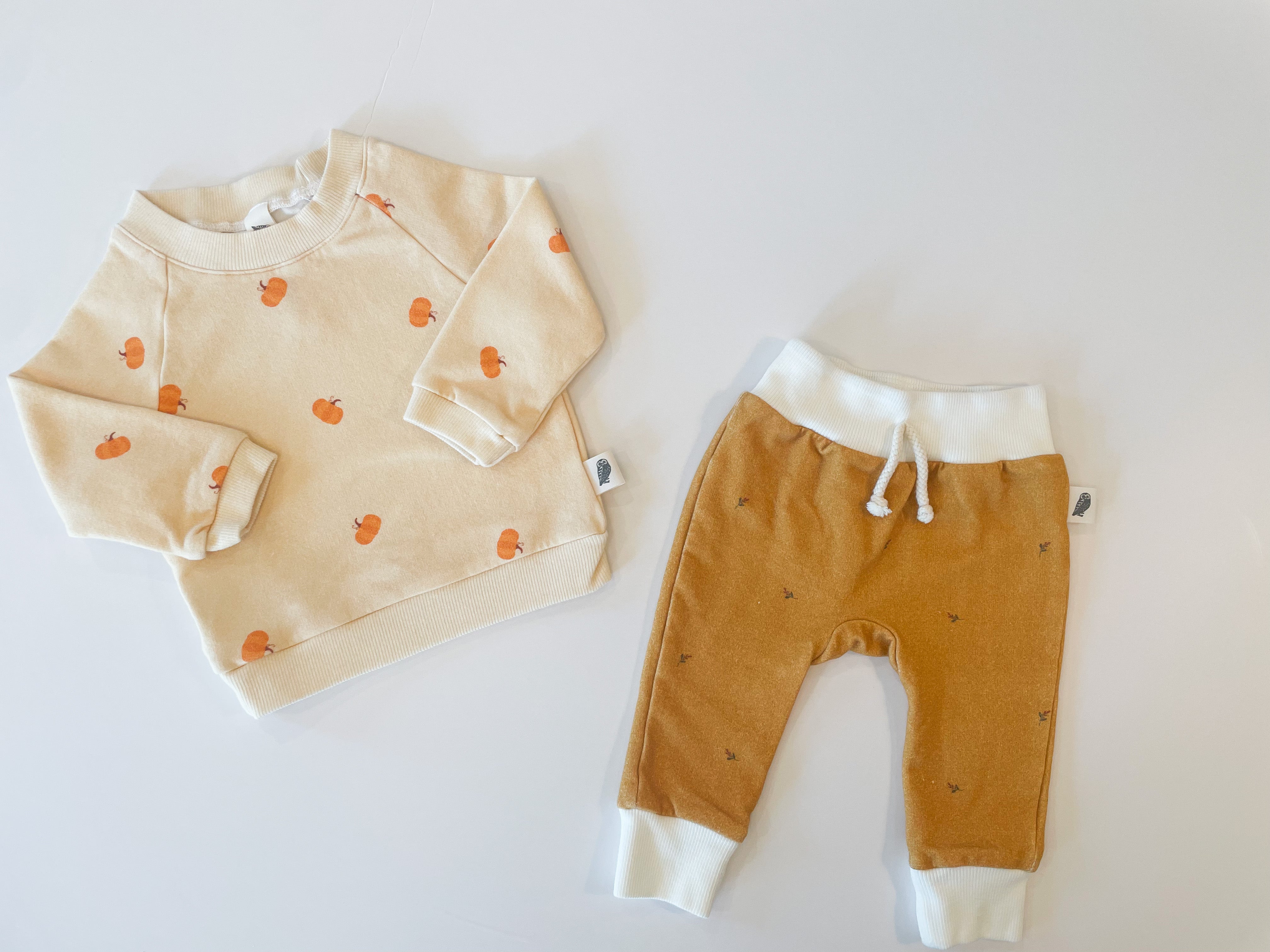 Raglan Sweatshirt - Pumpkin Patch Organic Cotton