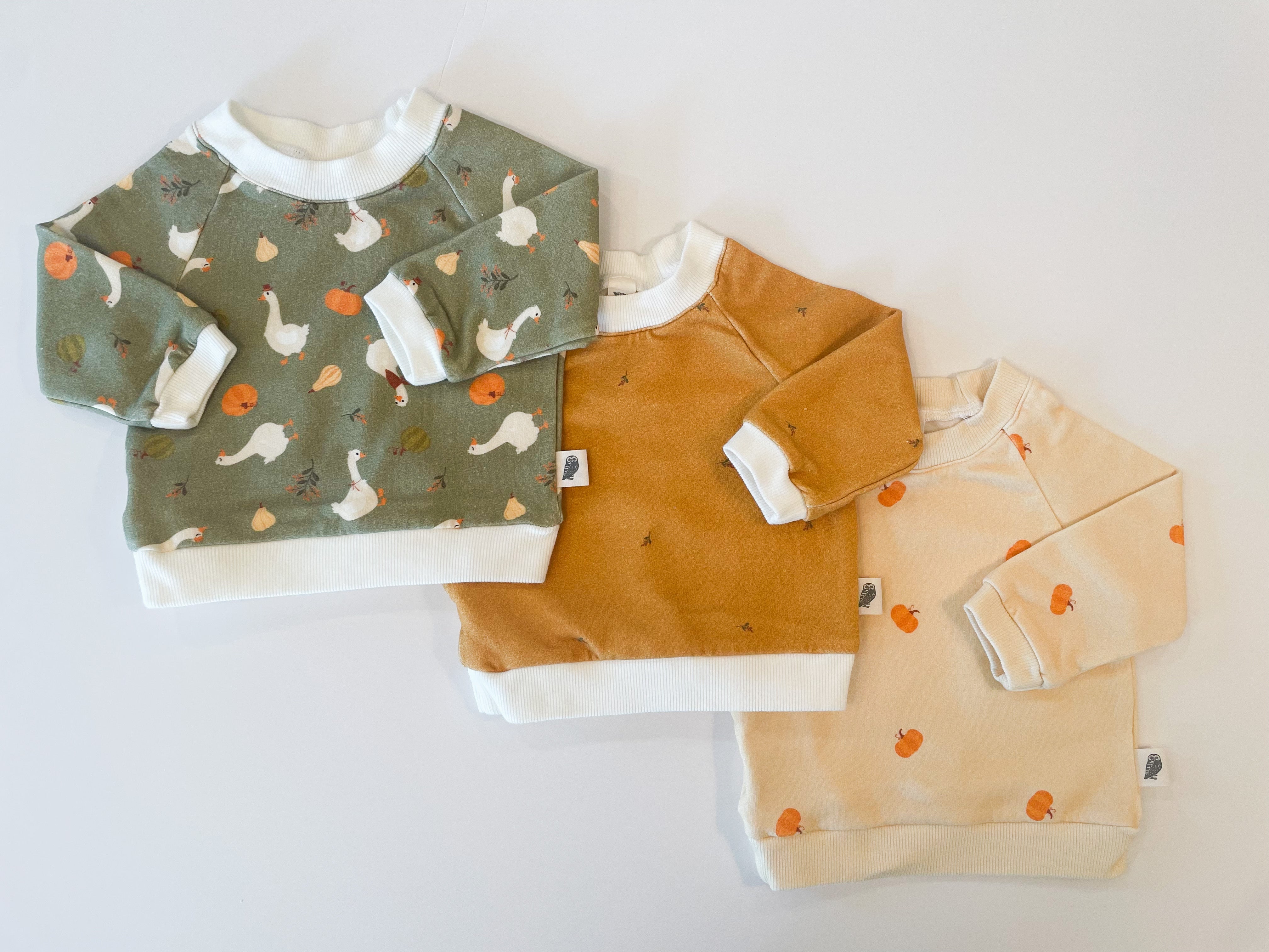 Raglan Sweatshirt - Pumpkin Patch Organic Cotton