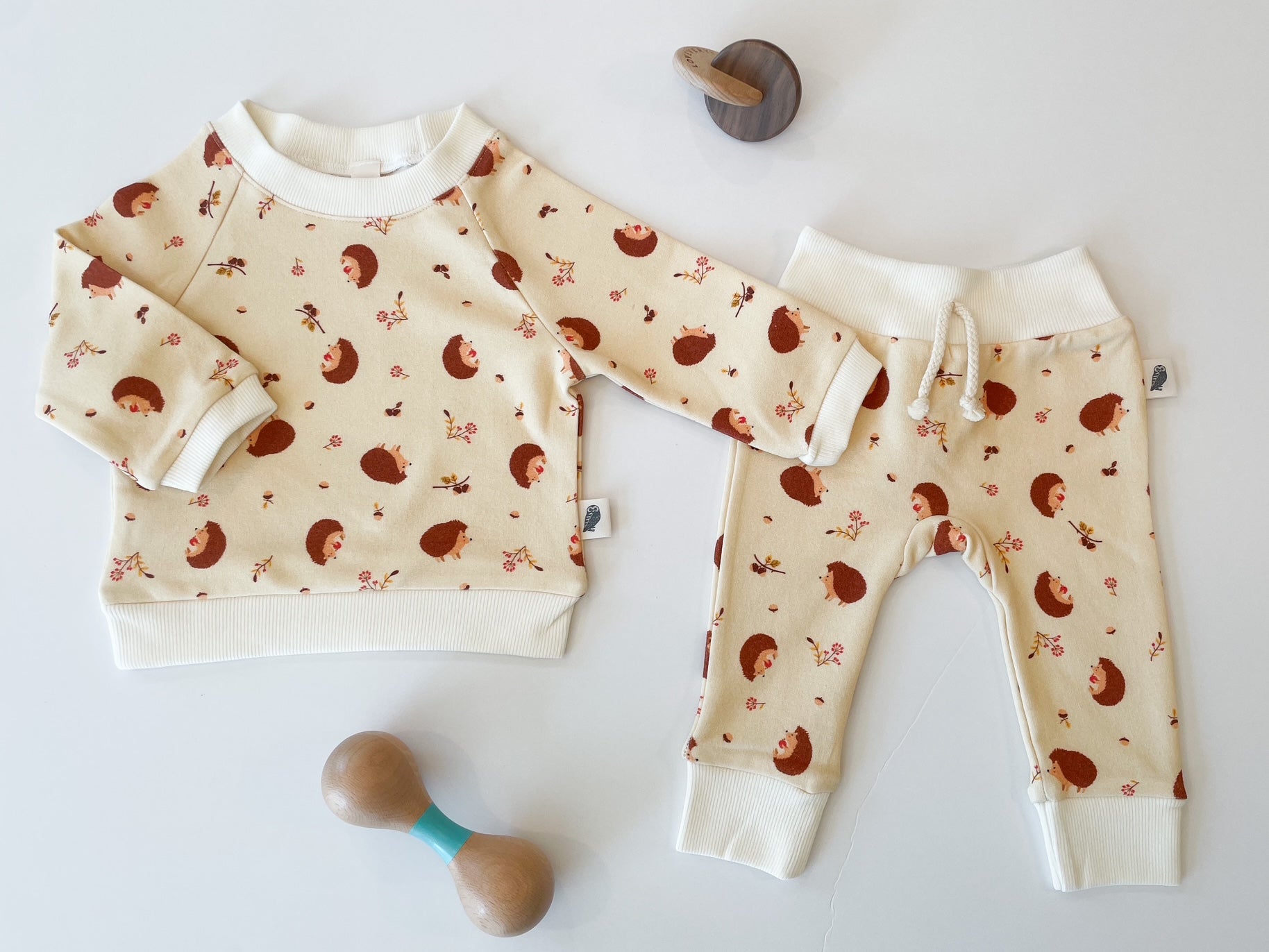 Sweatshirt Only - Baby Hedgehog Organic Cotton Fleece Raglan Sweatshirt