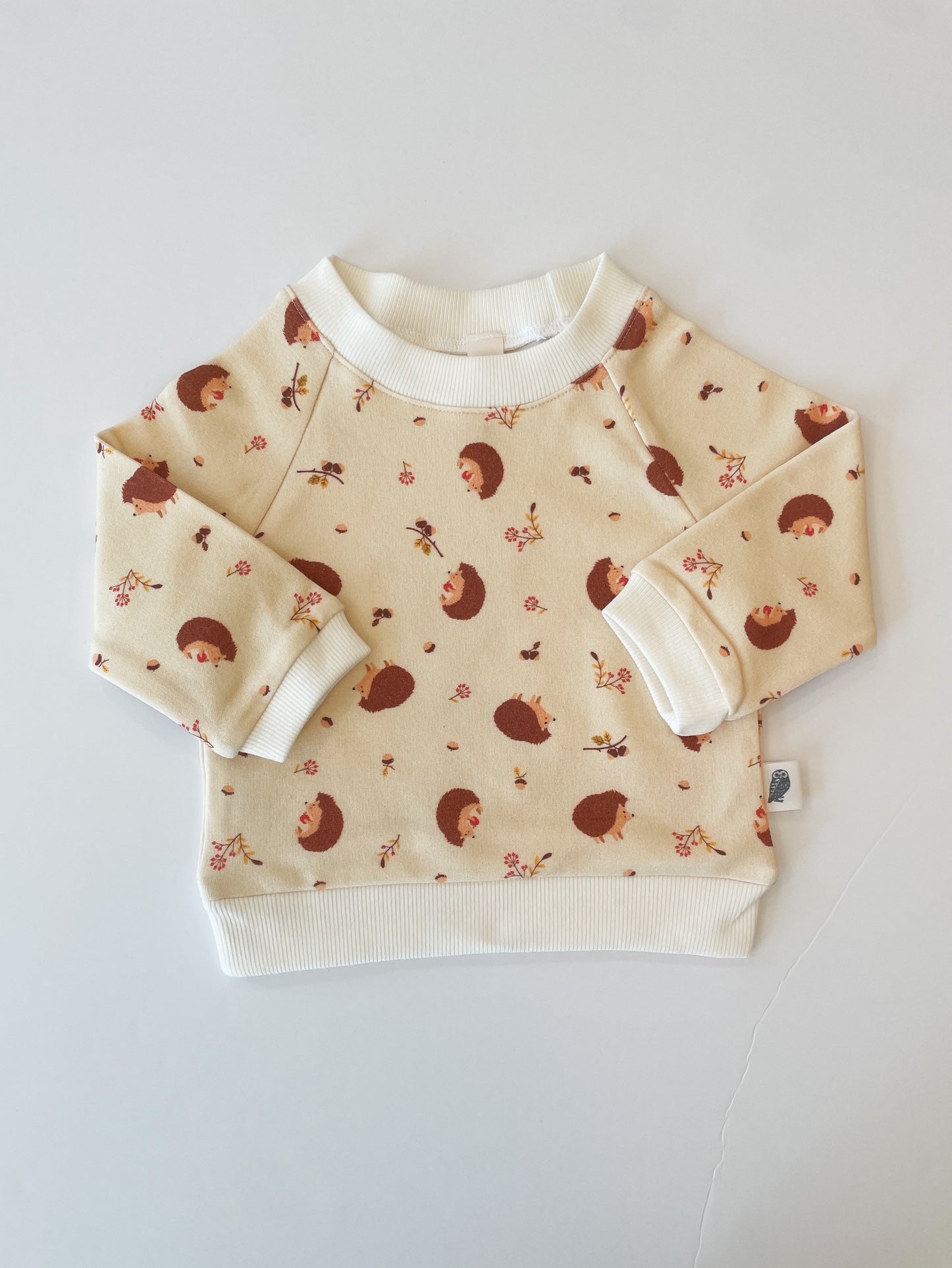 Sweatshirt Only - Baby Hedgehog Organic Cotton Fleece Raglan Sweatshirt