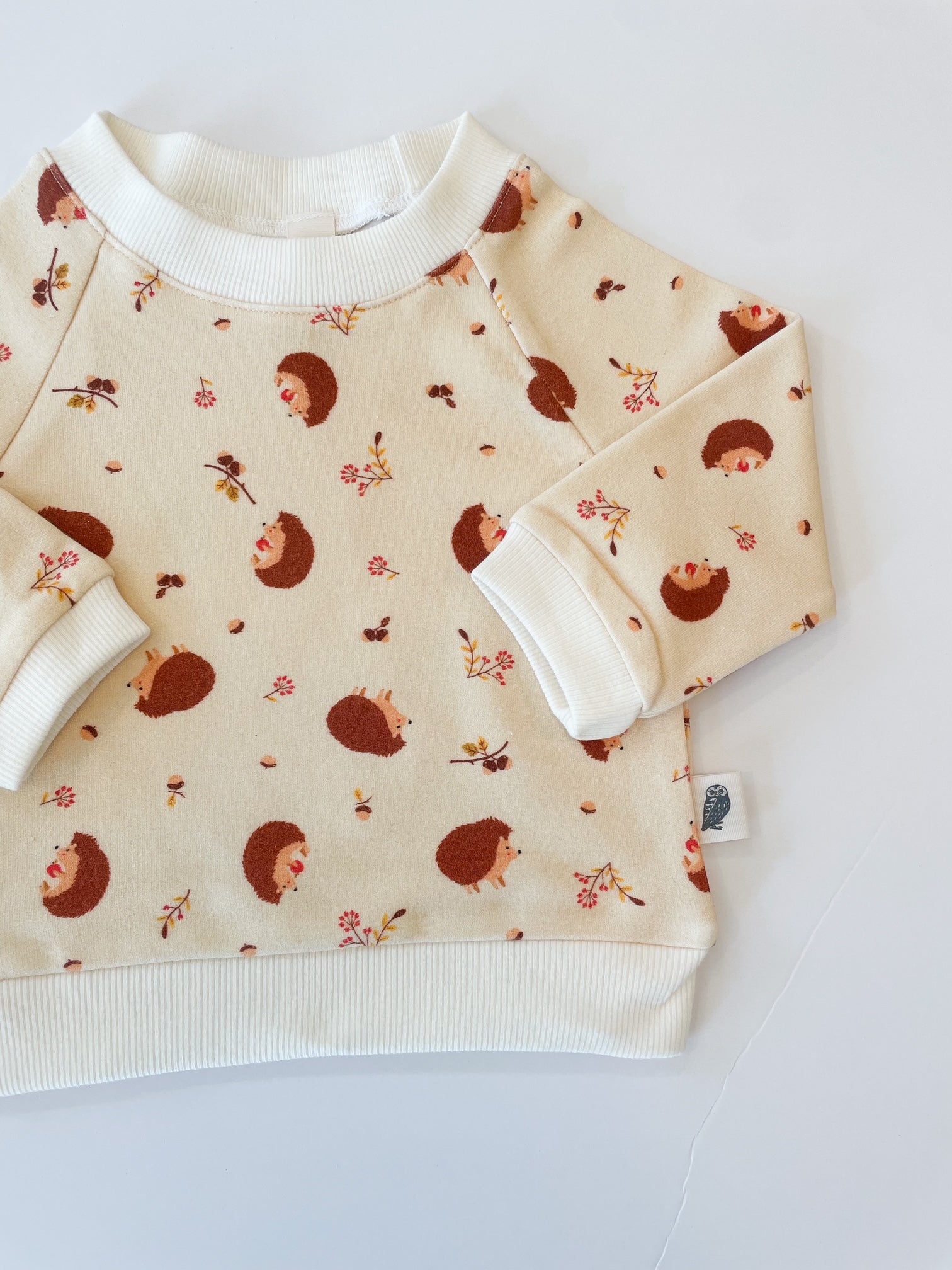 Sweatshirt Only - Baby Hedgehog Organic Cotton Fleece Raglan Sweatshirt