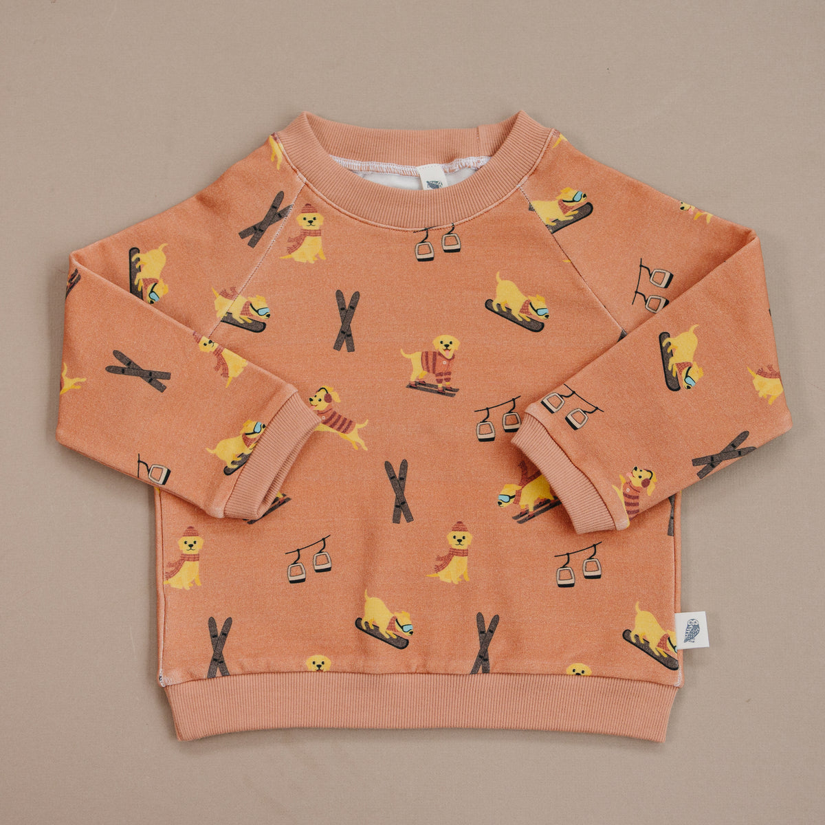 Raglan Sweatshirt - Avalanche Rescue Pup