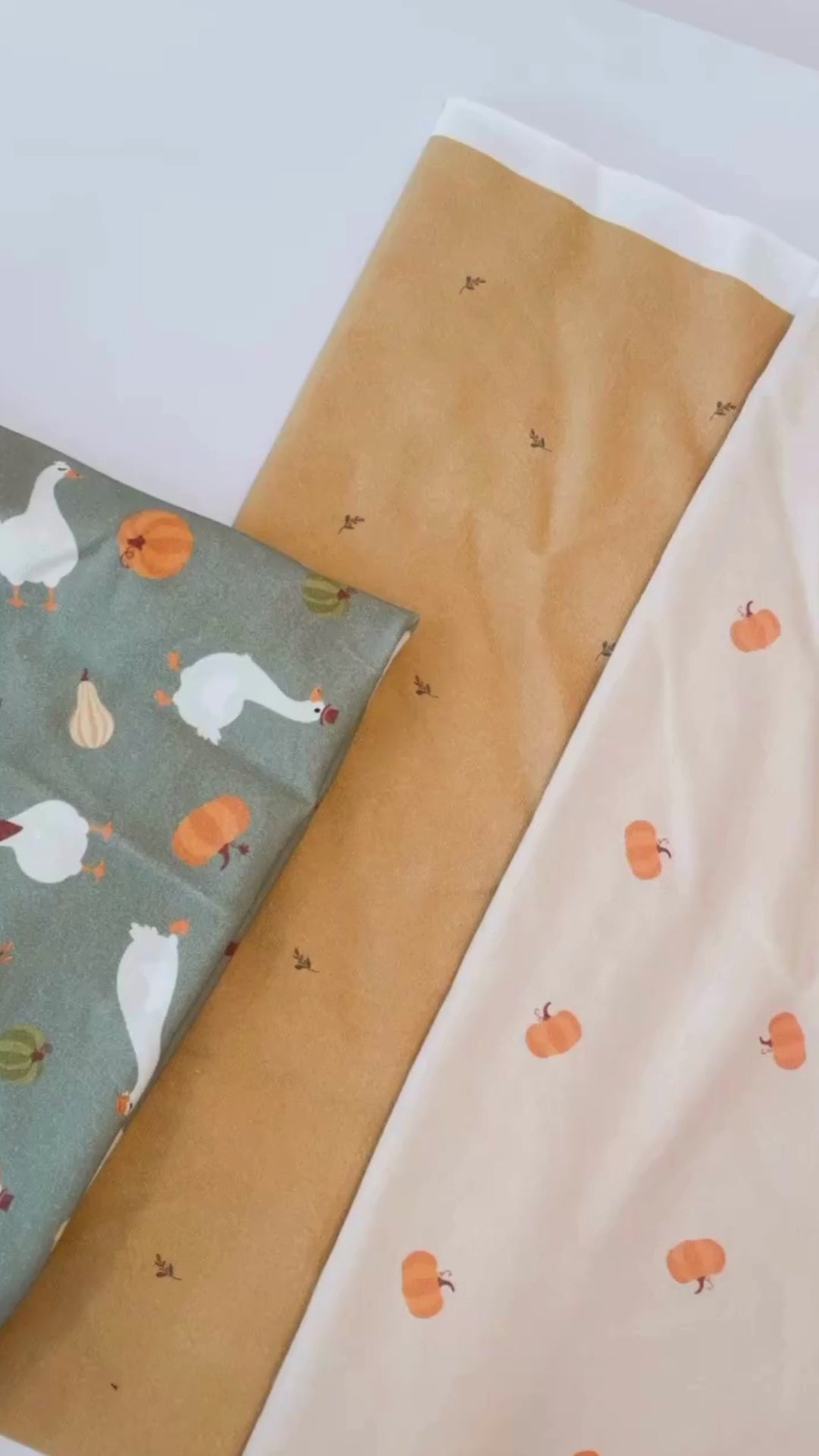 Raglan Sweatshirt - Farm Goose Adventures Organic Cotton