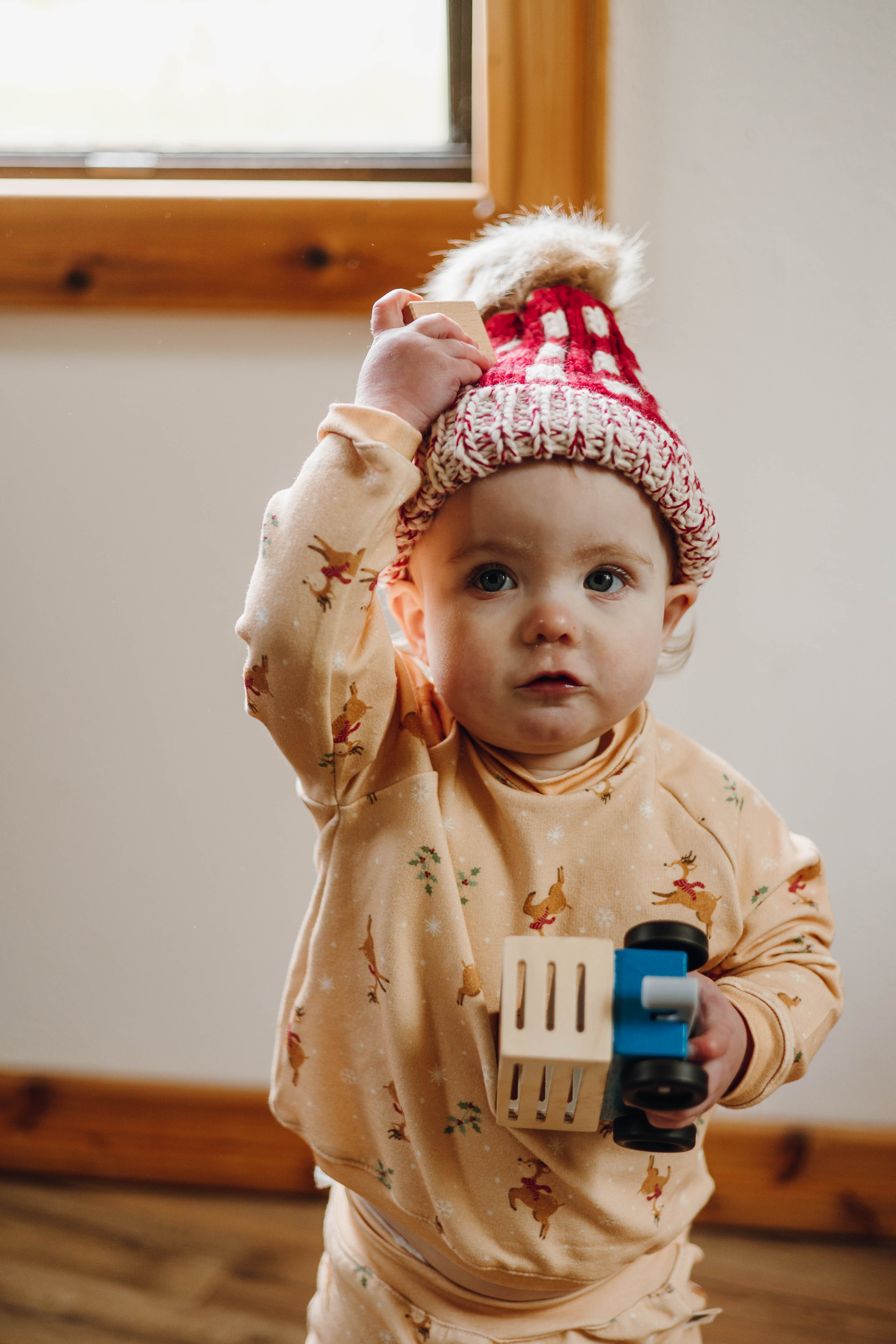 Matching Set - Holiday Reindeer Organic Cotton Fleece Sweatshirt & Jogger