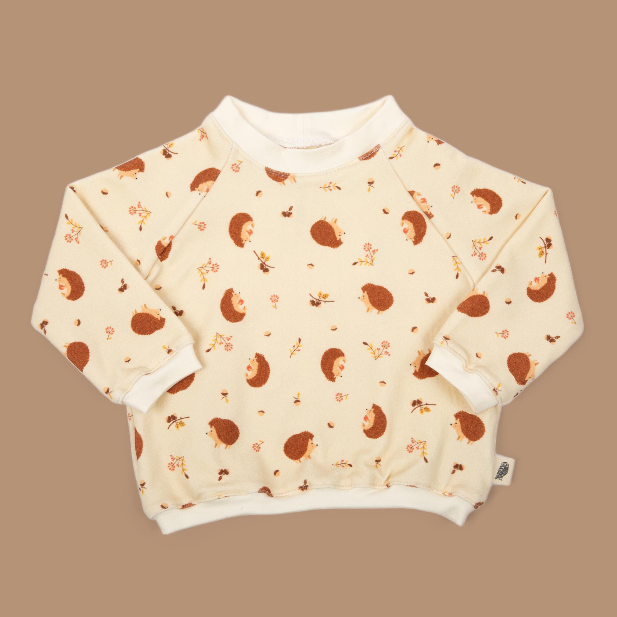 Sweatshirt Only - Baby Hedgehog Organic Cotton Fleece Raglan Sweatshirt