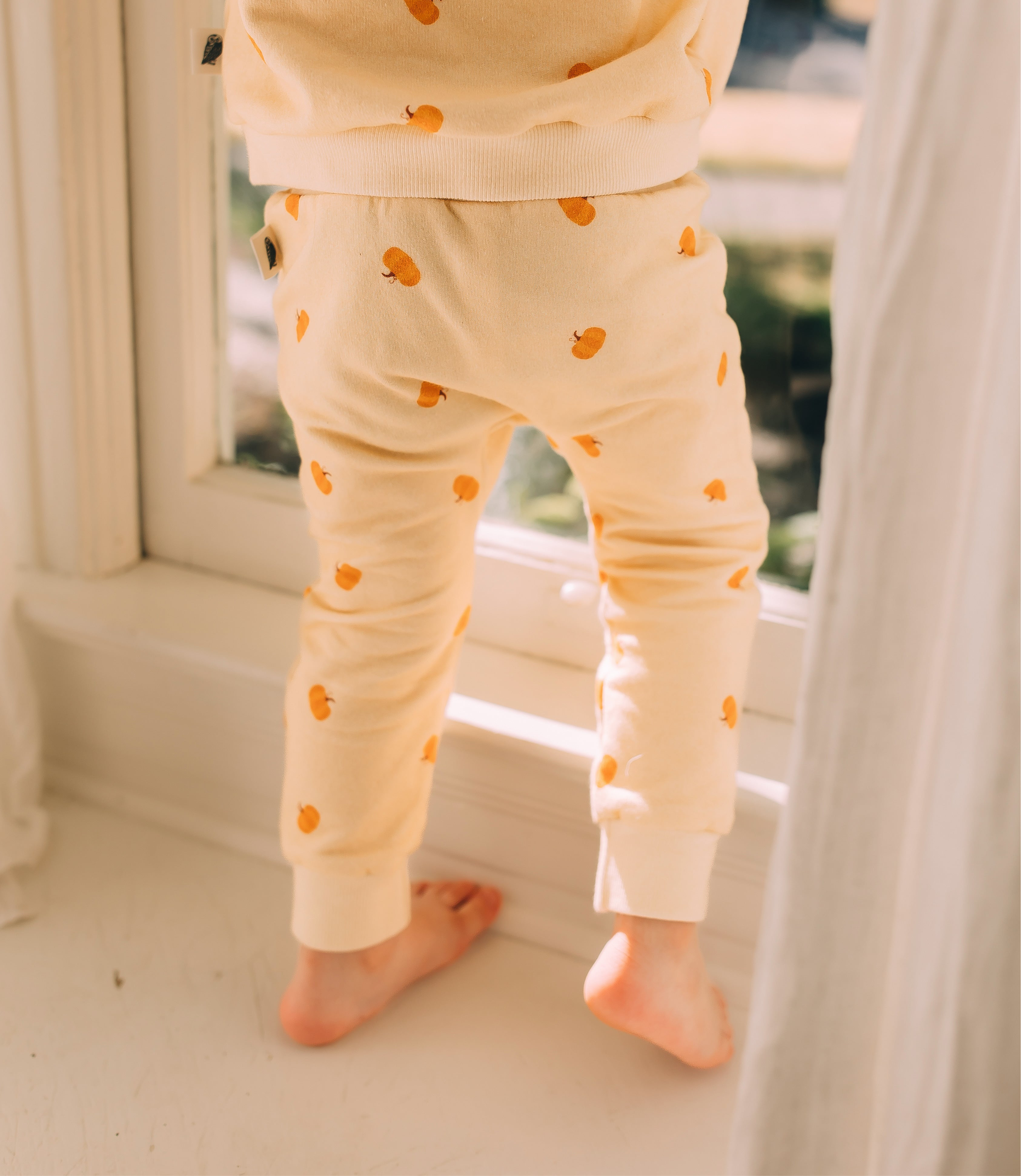 Jogger Pants - Pumpkin Patch Organic Cotton