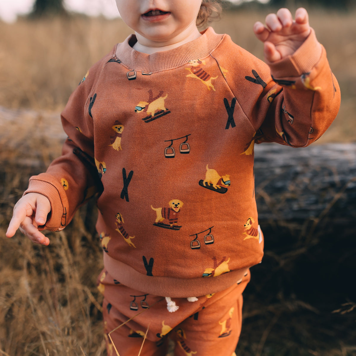 Raglan Sweatshirt - Avalanche Rescue Dog Organic Cotton