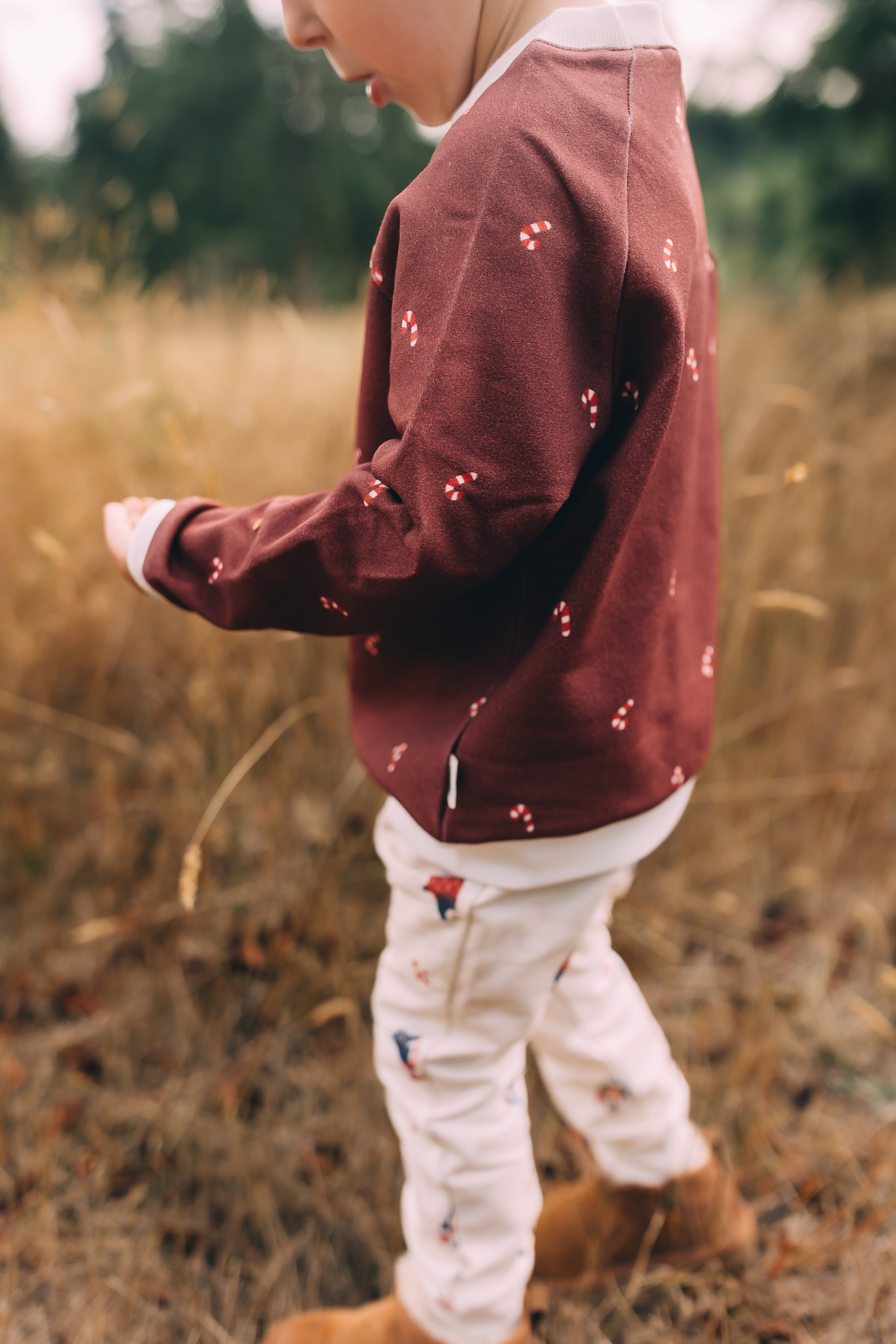 Raglan Sweatshirt - Candy Cane Holiday Organic Cotton