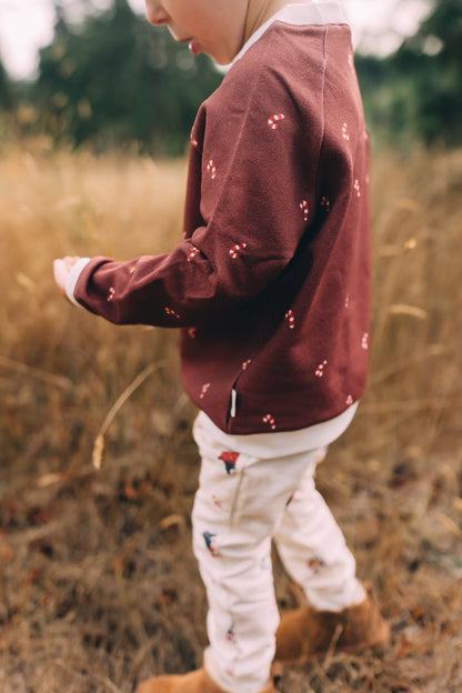 Raglan Sweatshirt - Candy Cane Holiday Organic Cotton