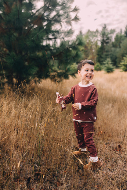 Raglan Sweatshirt - Candy Cane Holiday Organic Cotton