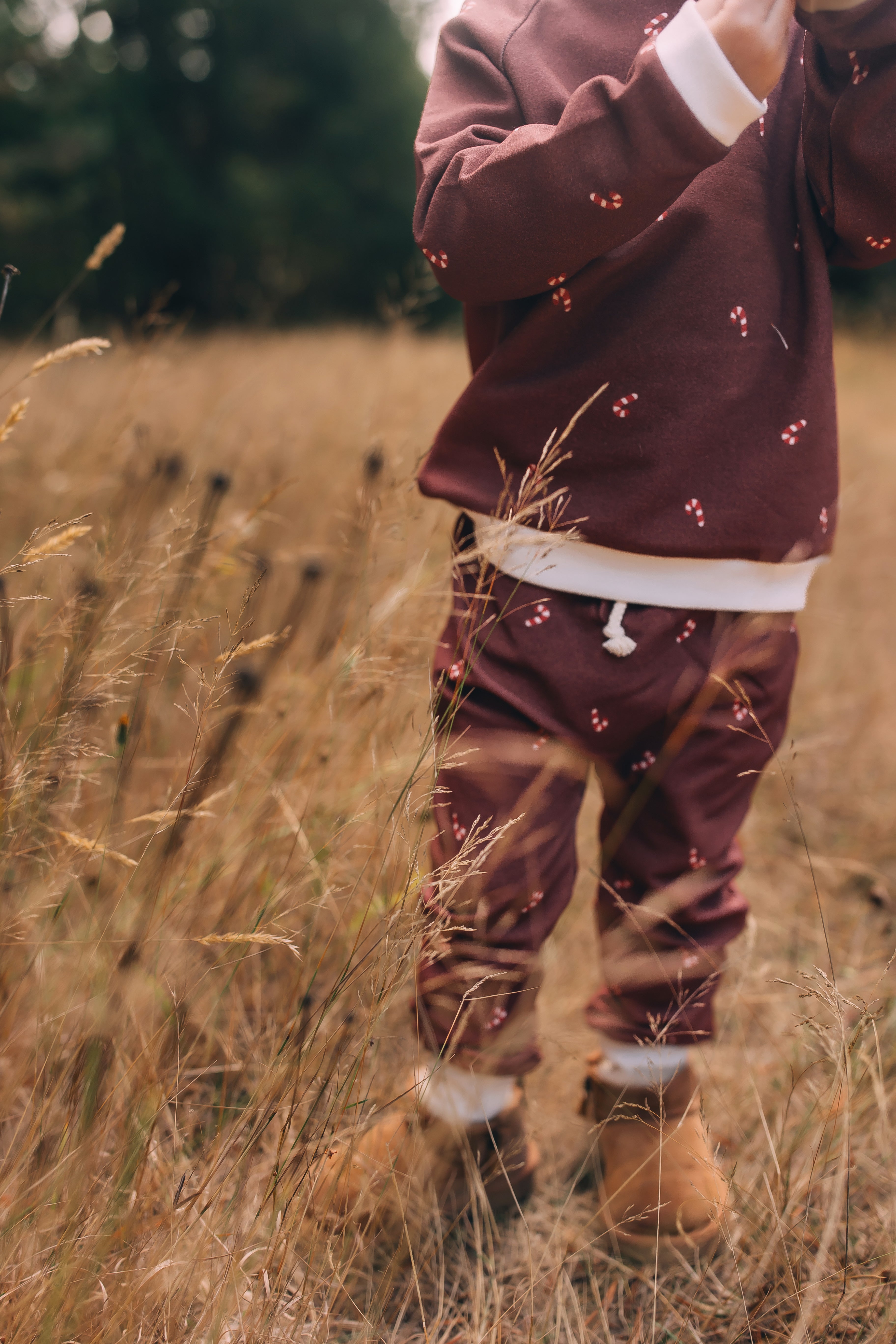 Raglan Sweatshirt - Candy Cane Holiday Organic Cotton
