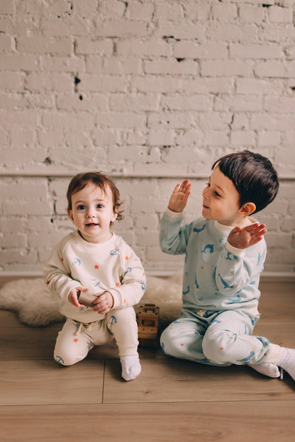 Raglan Sweatshirt - Anchors Away Organic Cotton