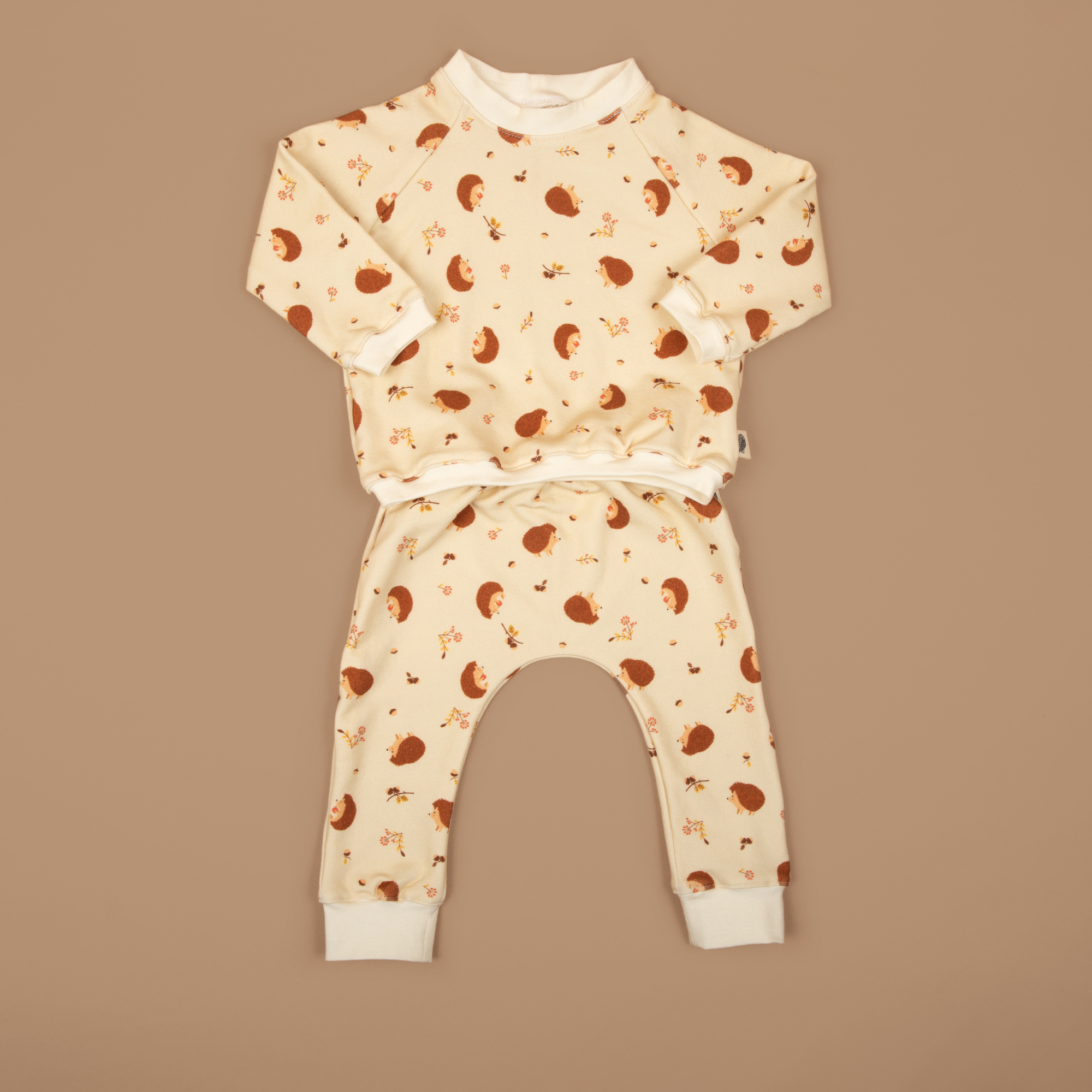 Matching Set - Baby Hedgehog Organic Cotton Fleece Sweatshirt & Jogger