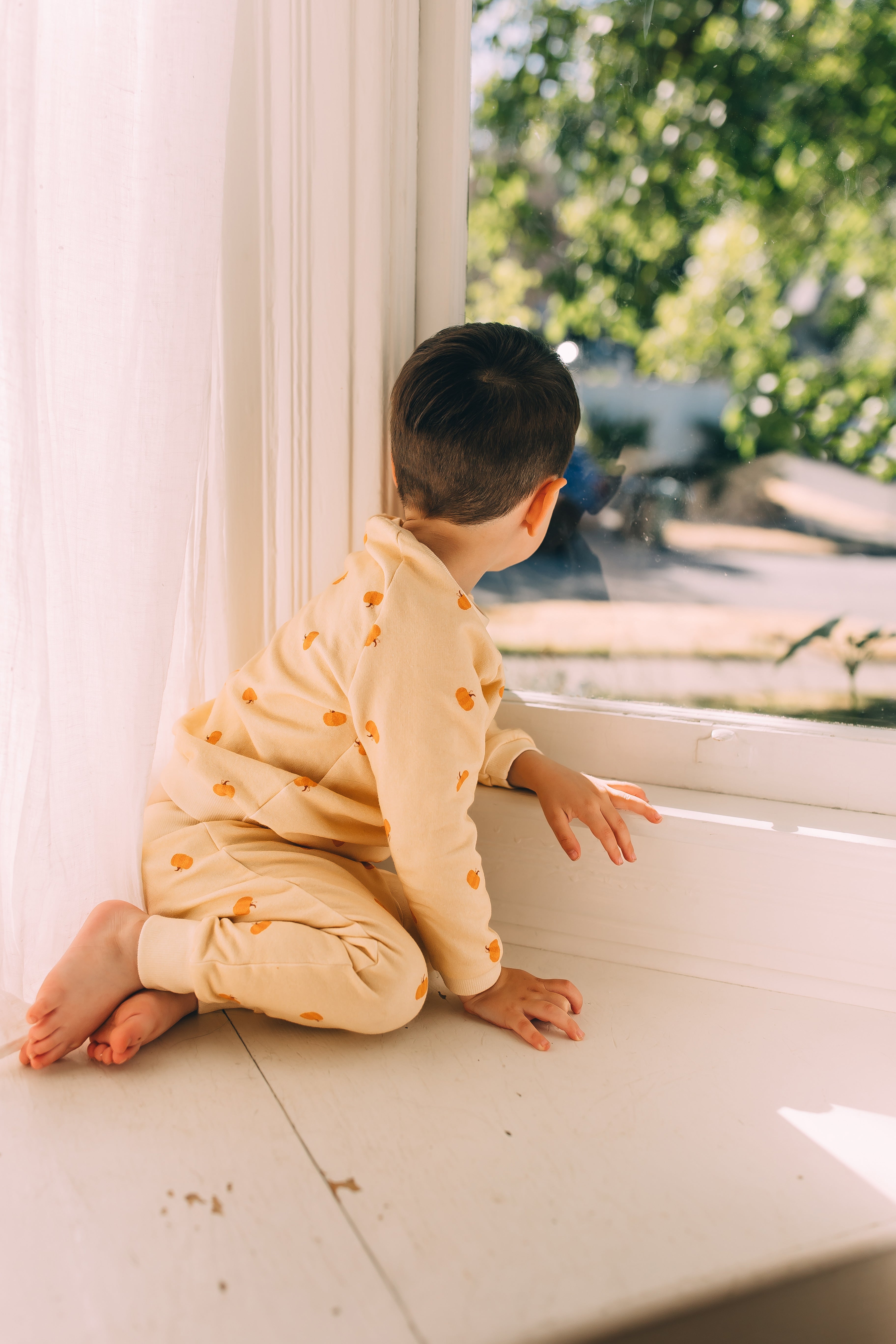 Jogger Pants - Pumpkin Patch Organic Cotton