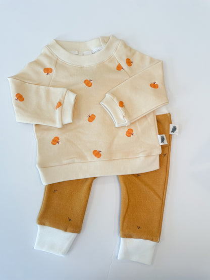 Raglan Sweatshirt - Pumpkin Patch Organic Cotton