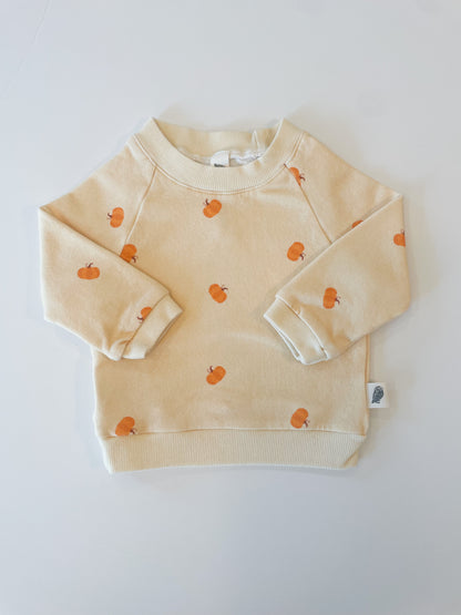 Raglan Sweatshirt - Pumpkin Patch Organic Cotton
